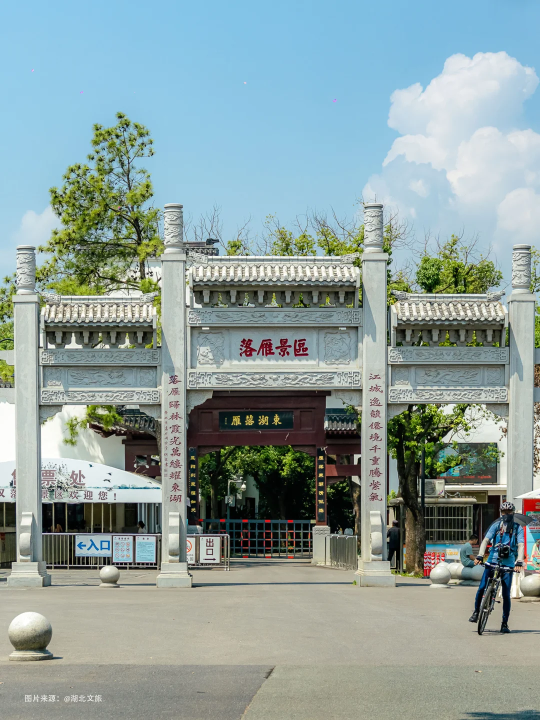 东湖落雁，就是个巨大的绿色能量场🌿