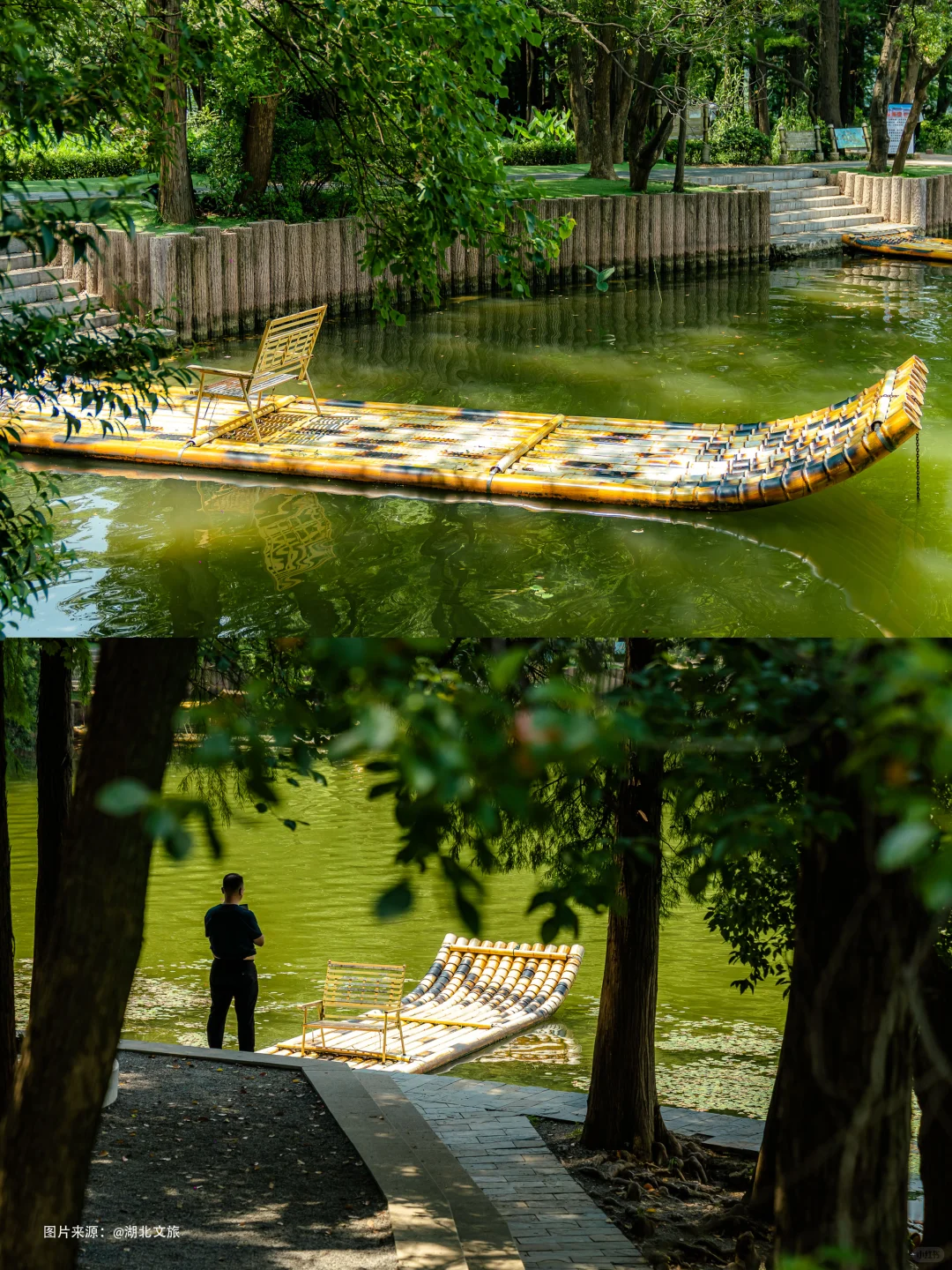 东湖落雁，就是个巨大的绿色能量场🌿