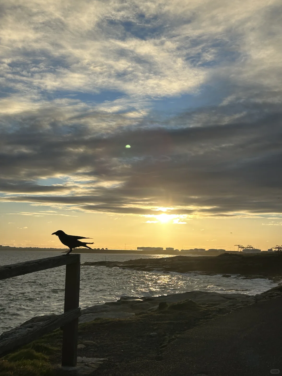 澳洲海景live