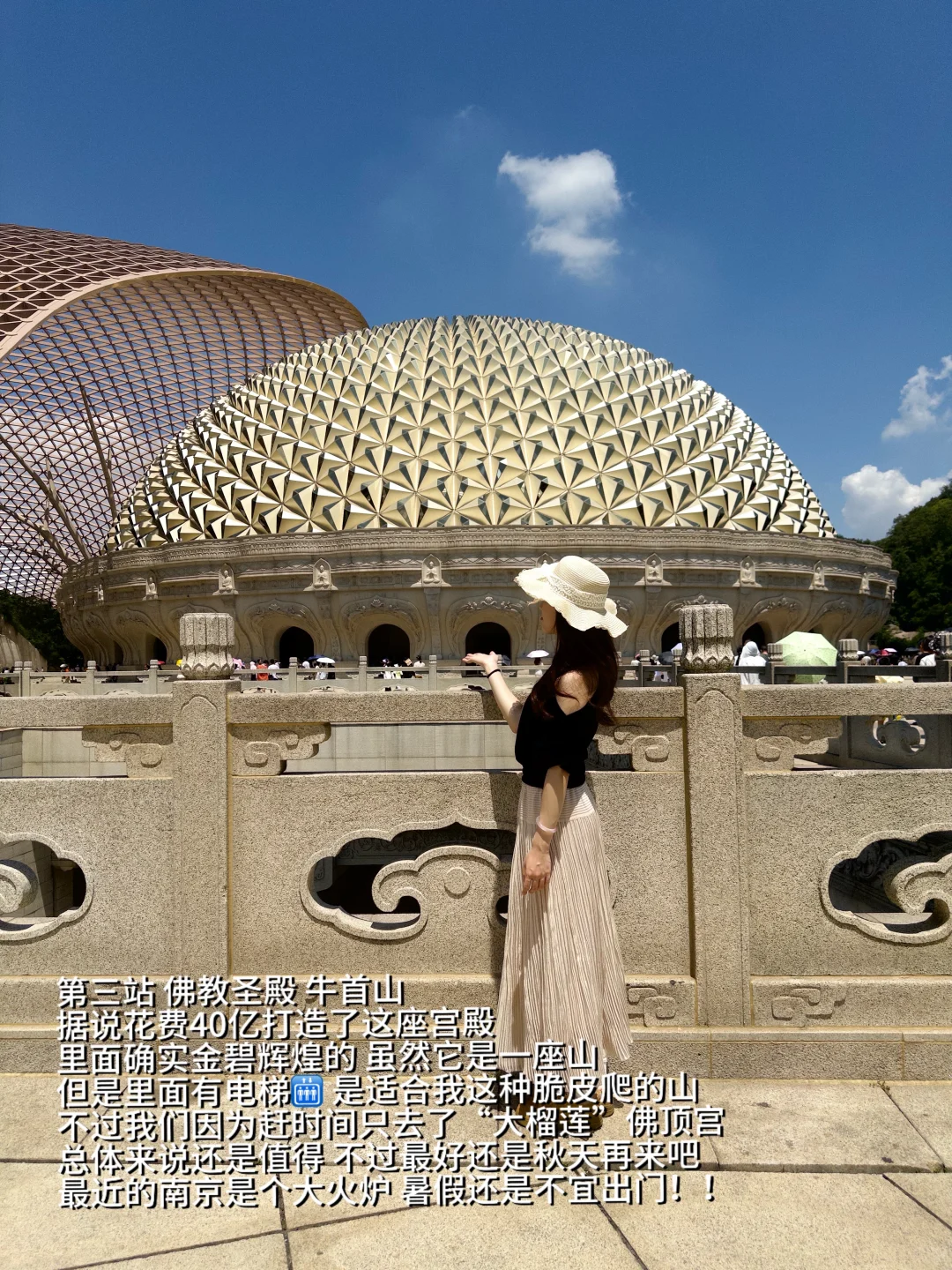 我在去南京旅游的高铁上……plog