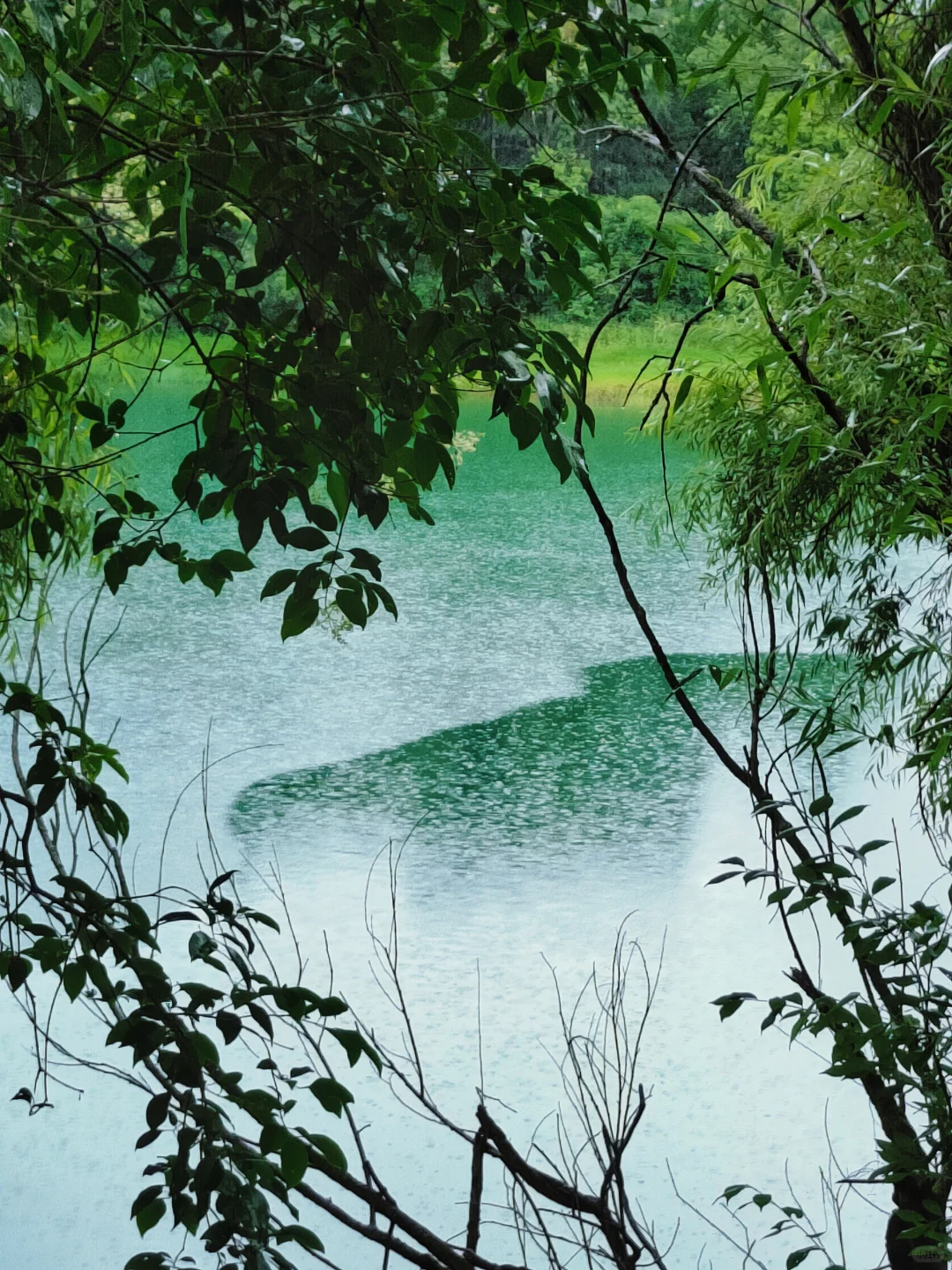 六盘水最惊喜的免费景点