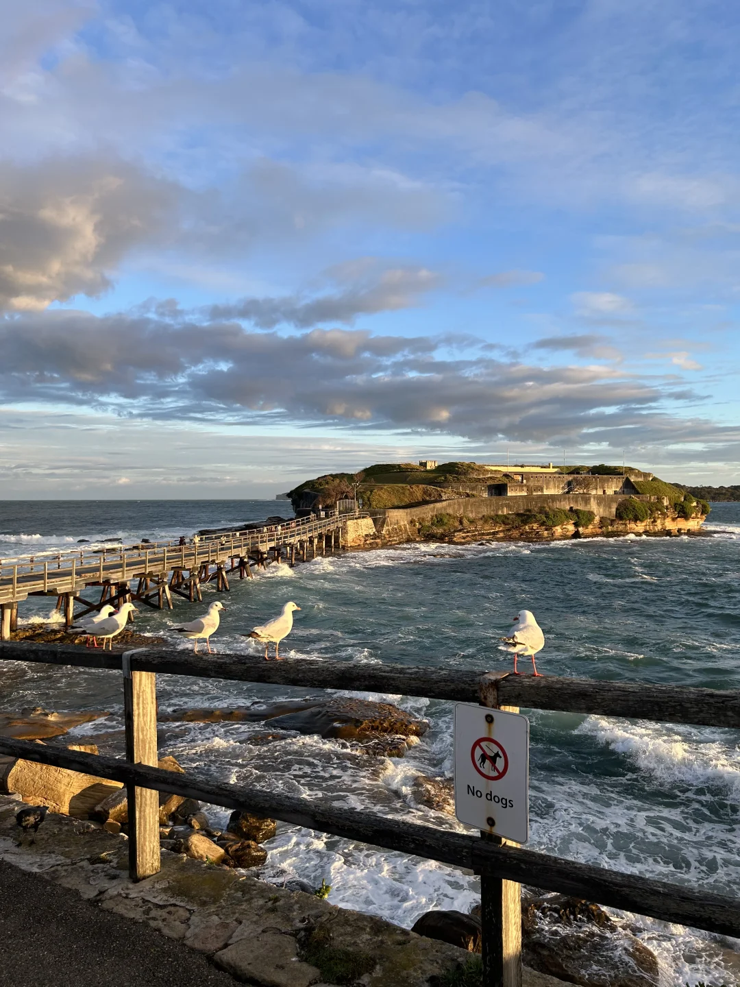 澳洲海景live