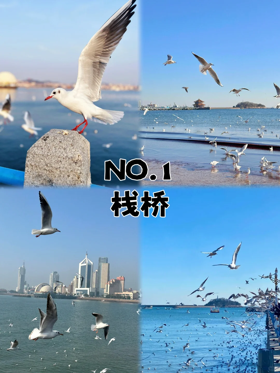 青岛2天1夜｜不废腿保姆级攻略👍附路线图