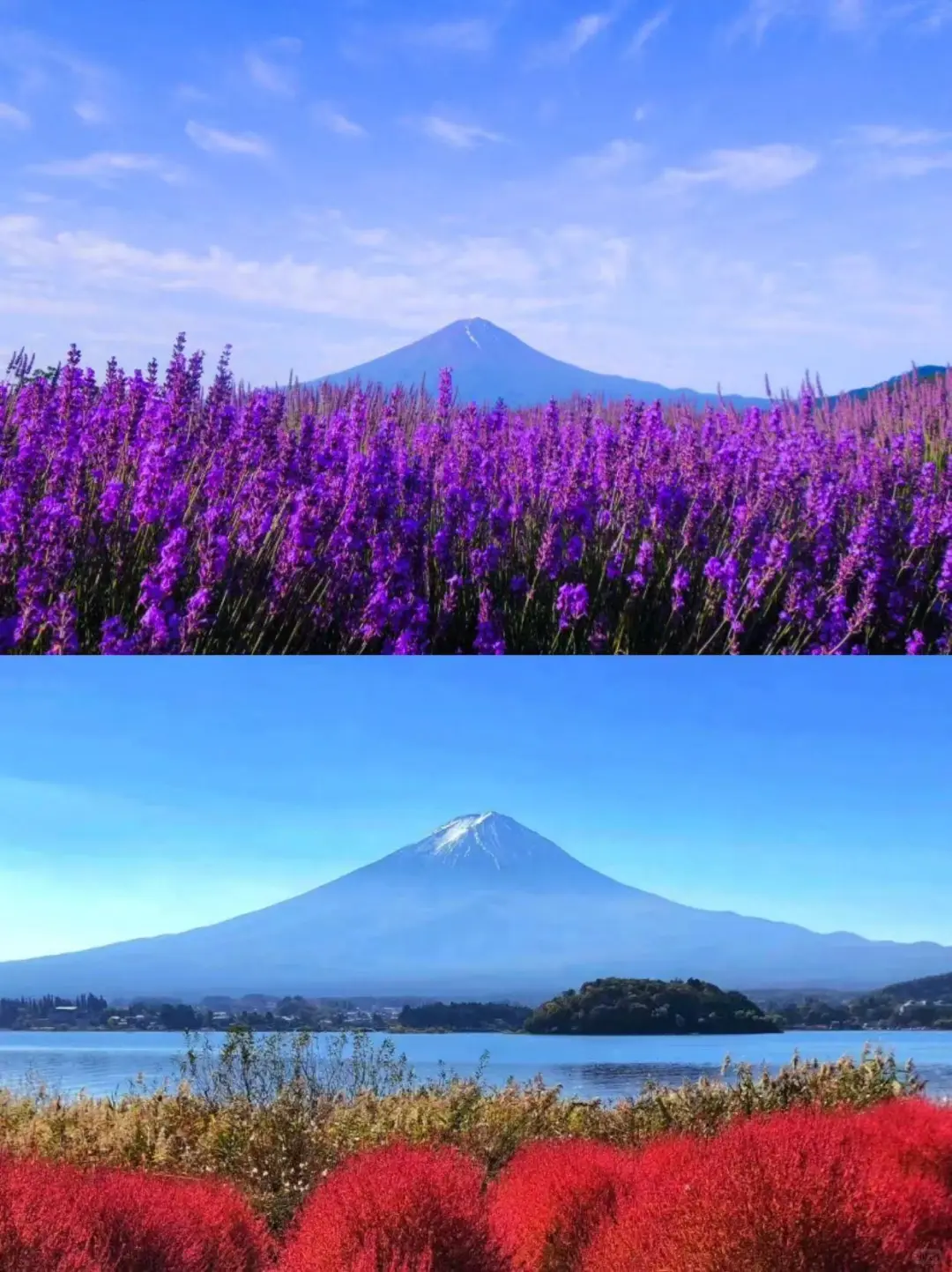 女生必收藏｜日本旅遊景點推薦🇯🇵✨