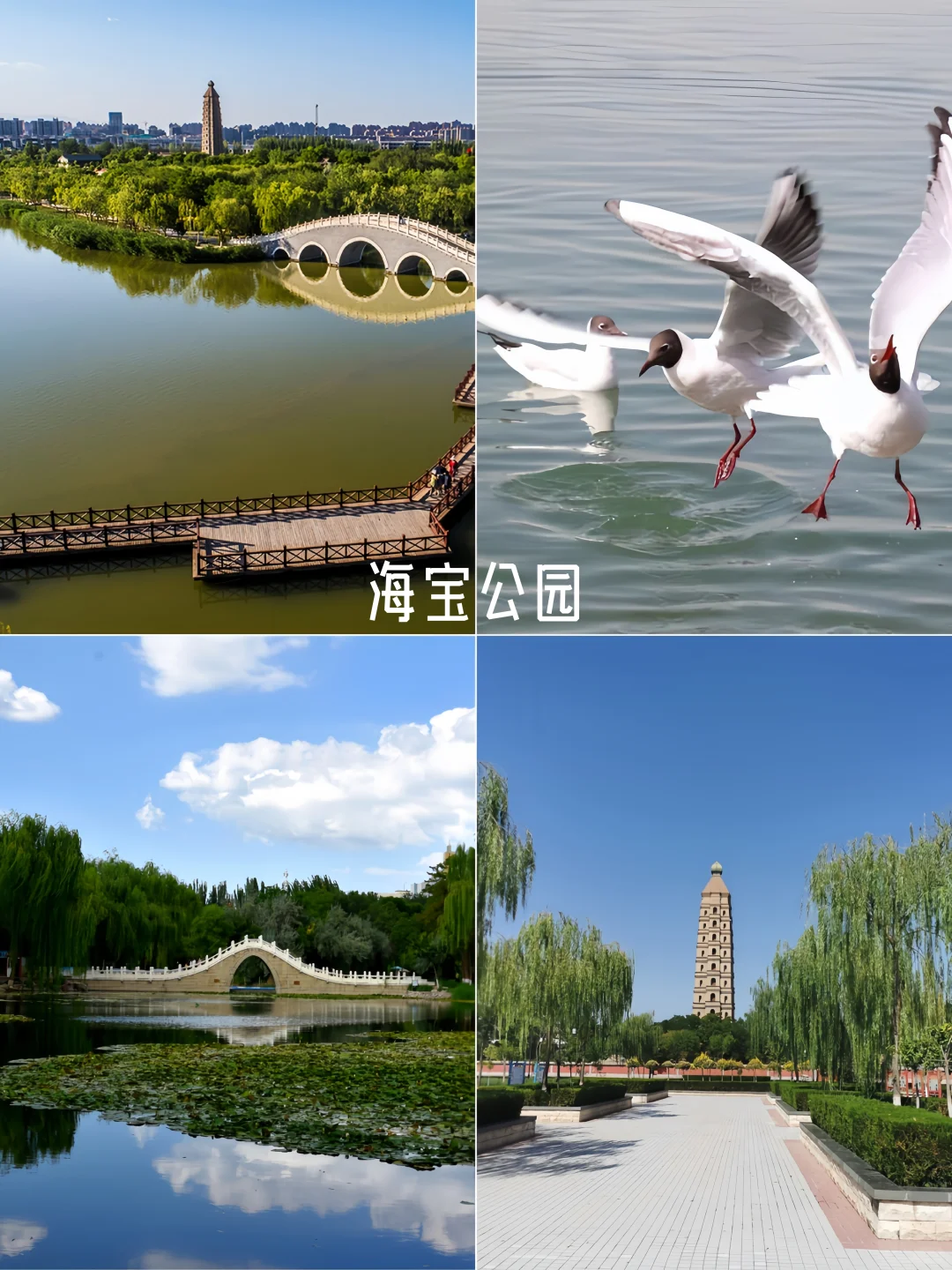 不花门票玩转塞上江南！银川免费景点全收录