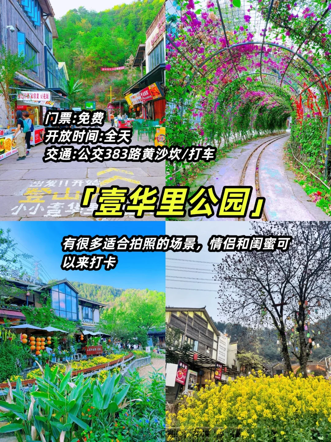 8🈷️来重庆旅游，一定要看的景点攻略！