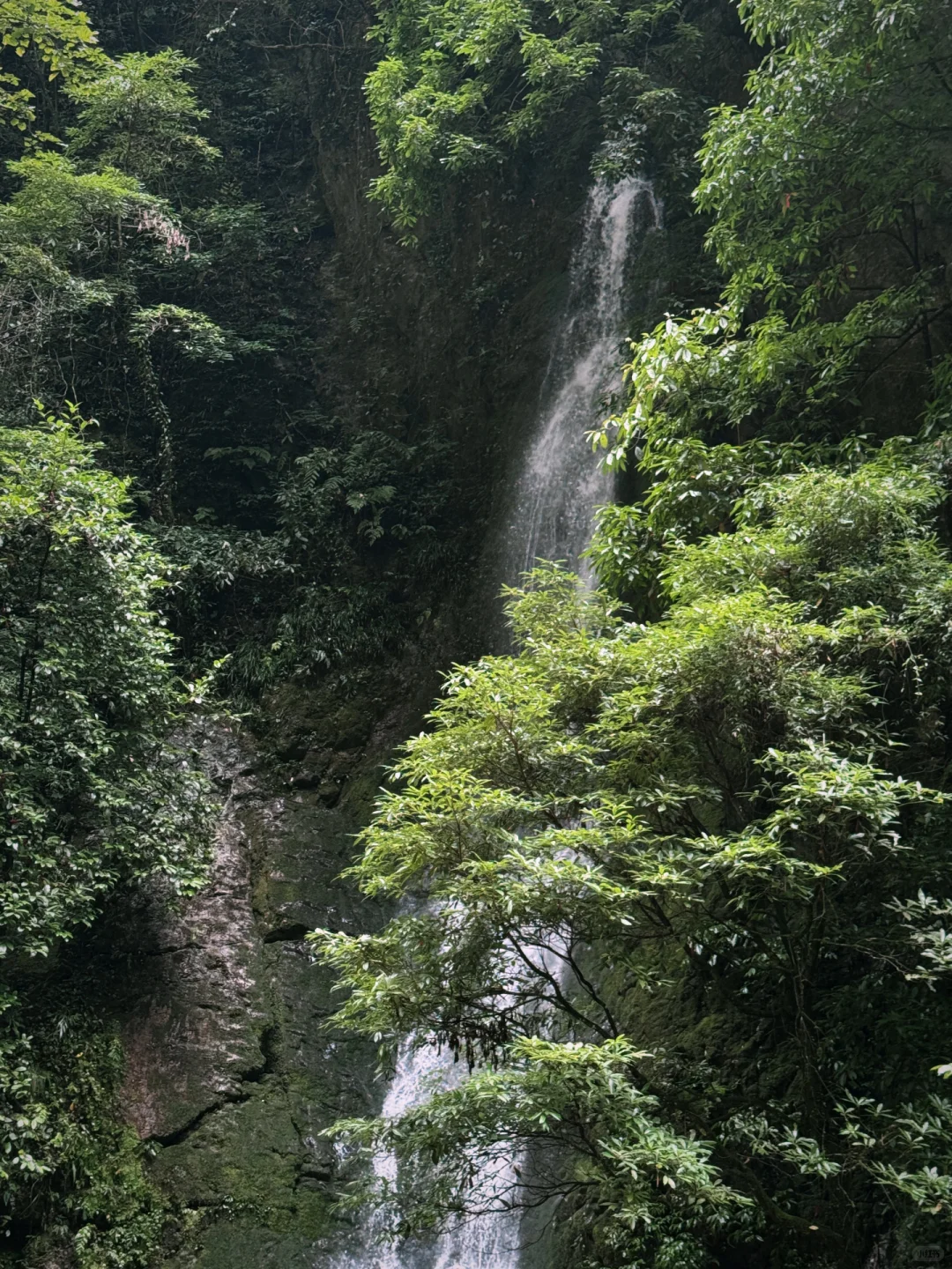 去大自然吸氧