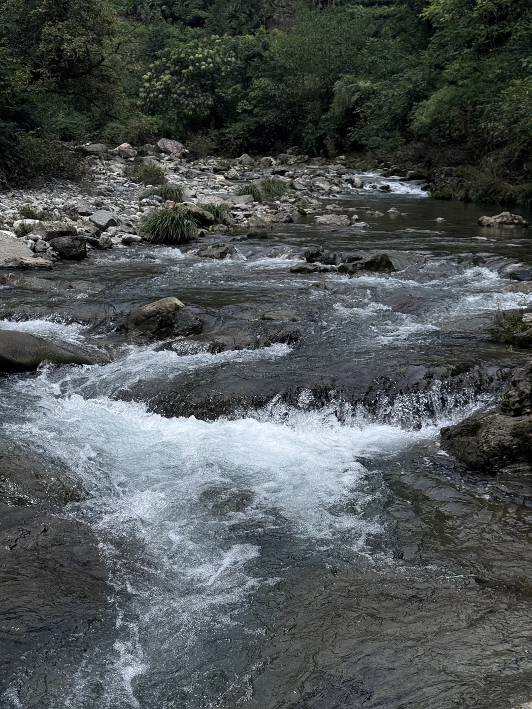 去大自然吸氧