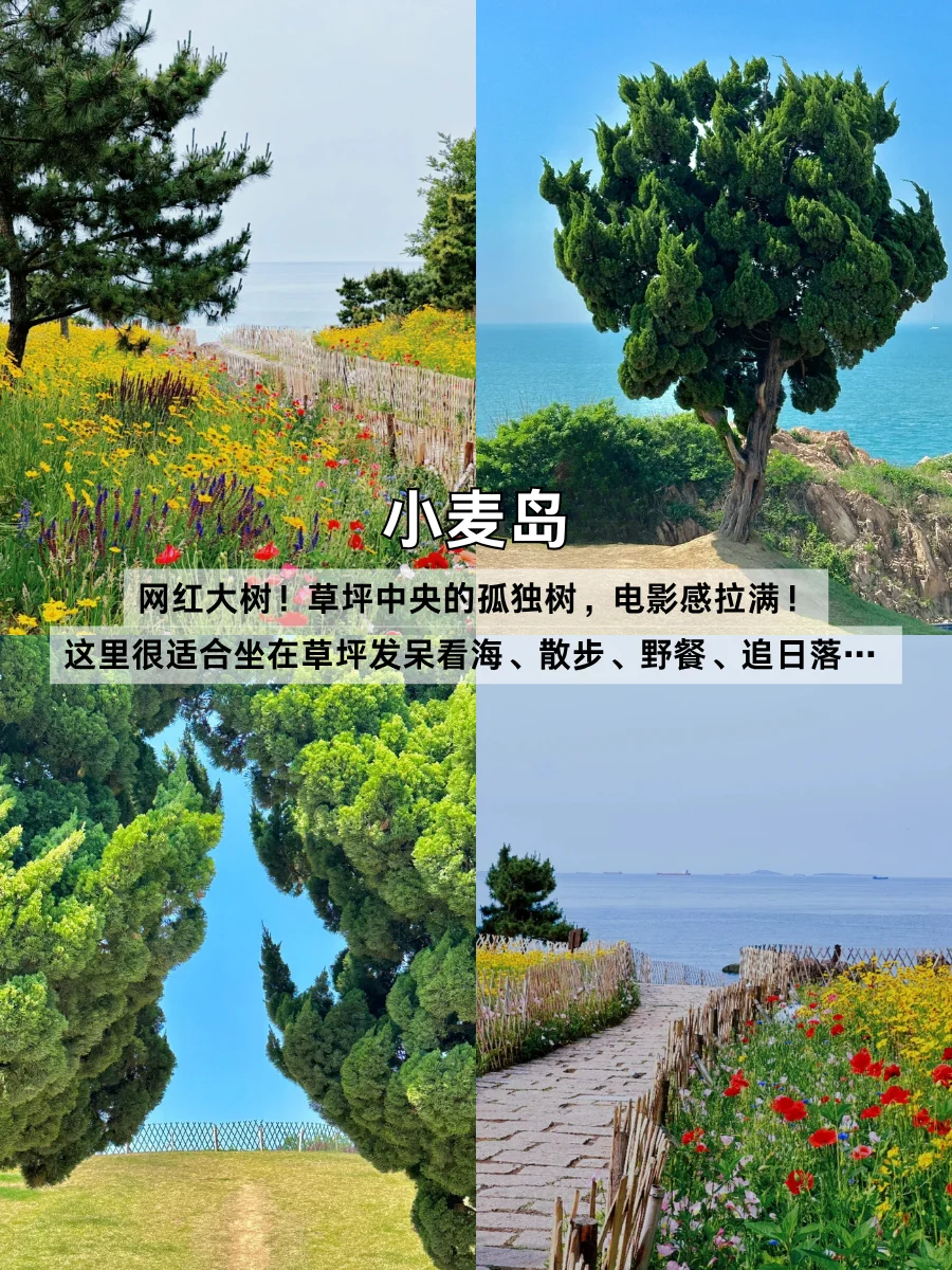 第一次来青岛，一定要看这份敲全旅游攻略！