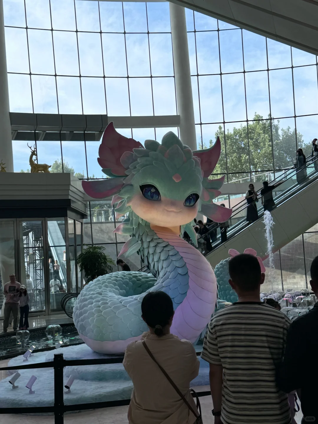 一个预算不到1000块的五一攻略✈️