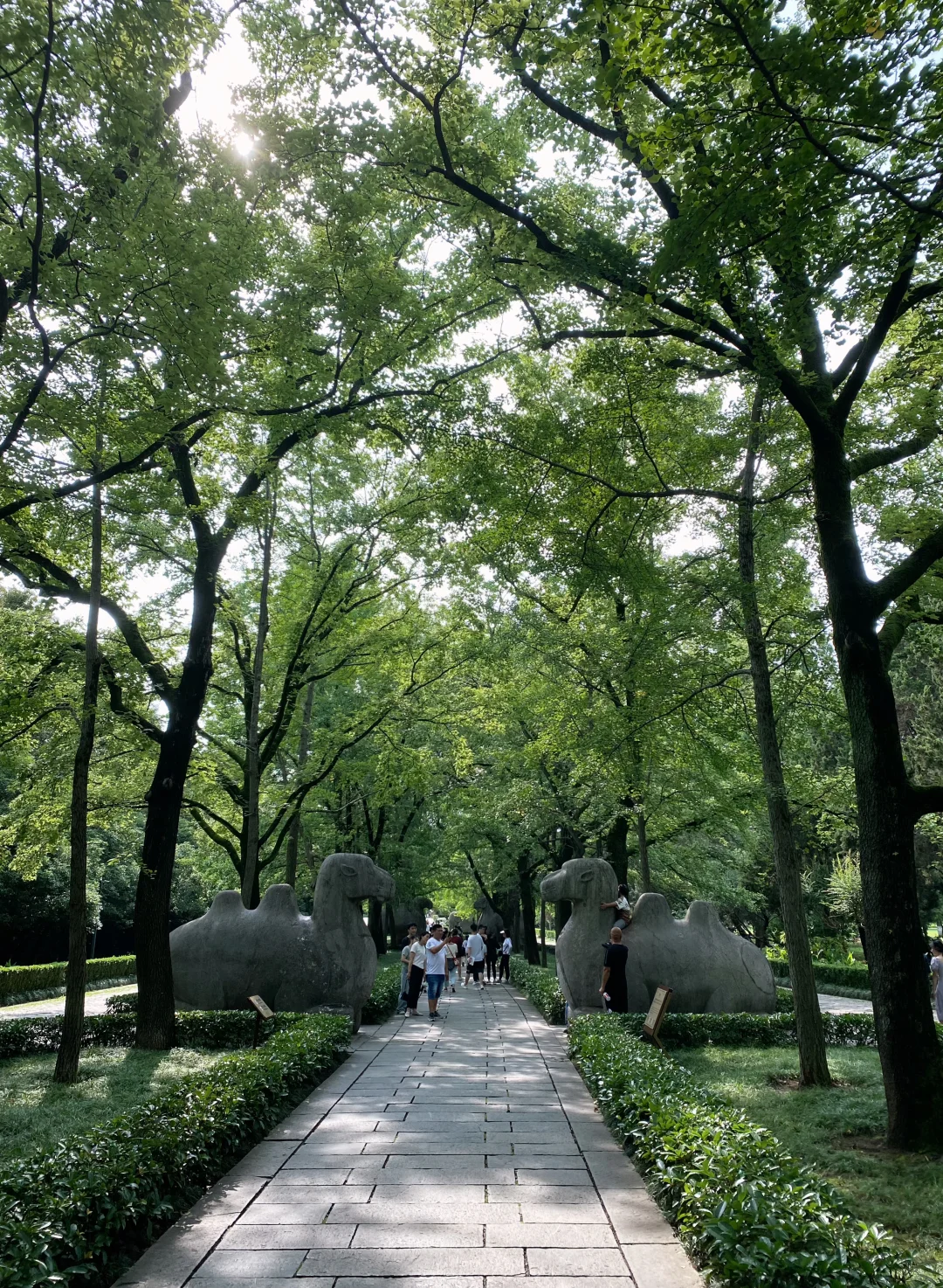 上海+南京+苏州+杭州 七天八晚最强攻略