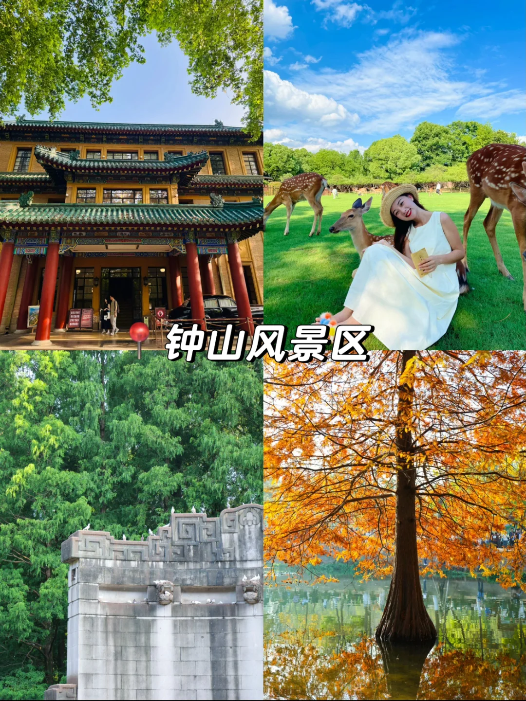 本地人整理！两天一夜南京旅游攻略！！