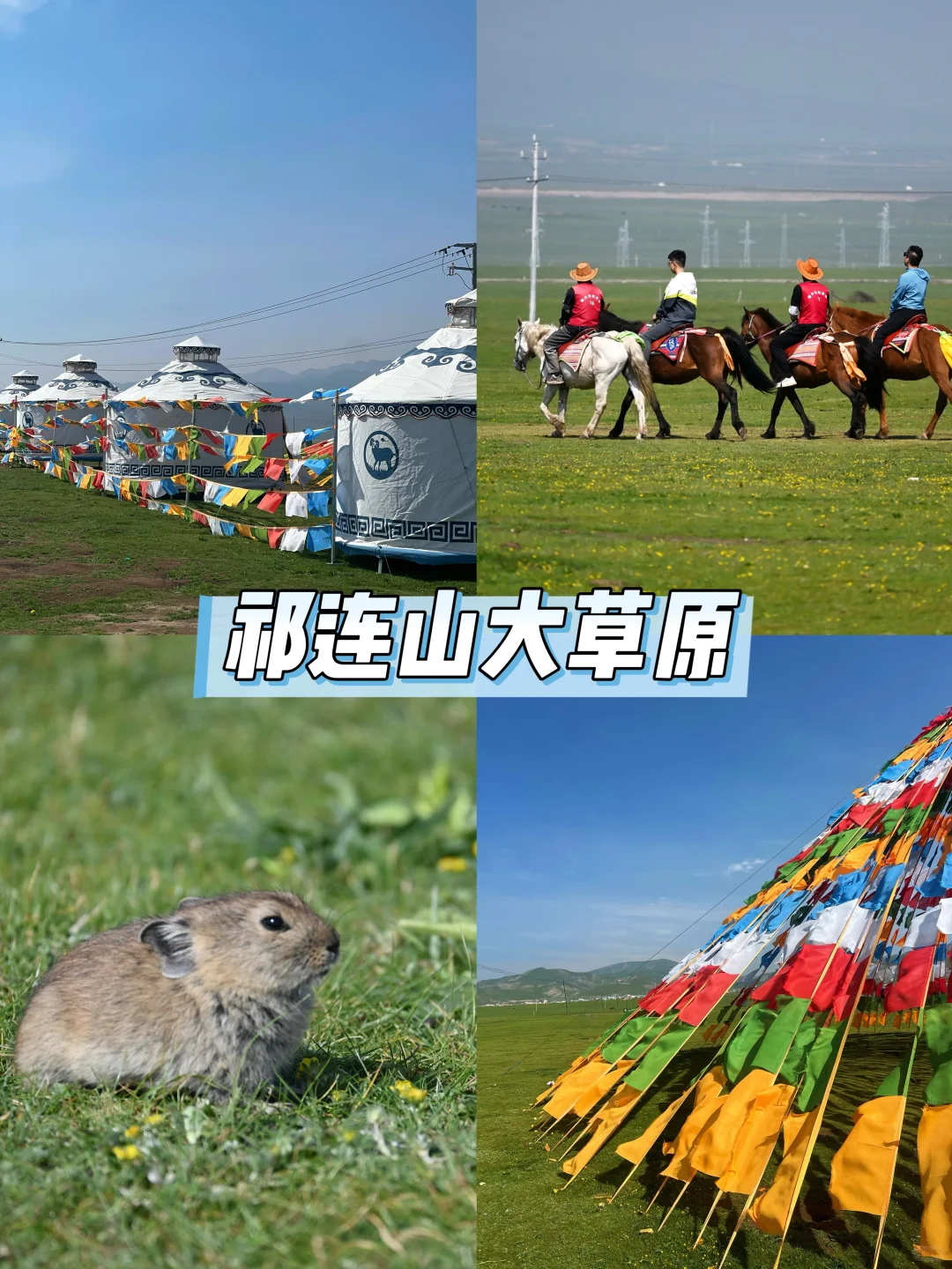 青甘大环线8天7晚旅游攻略（线路篇）