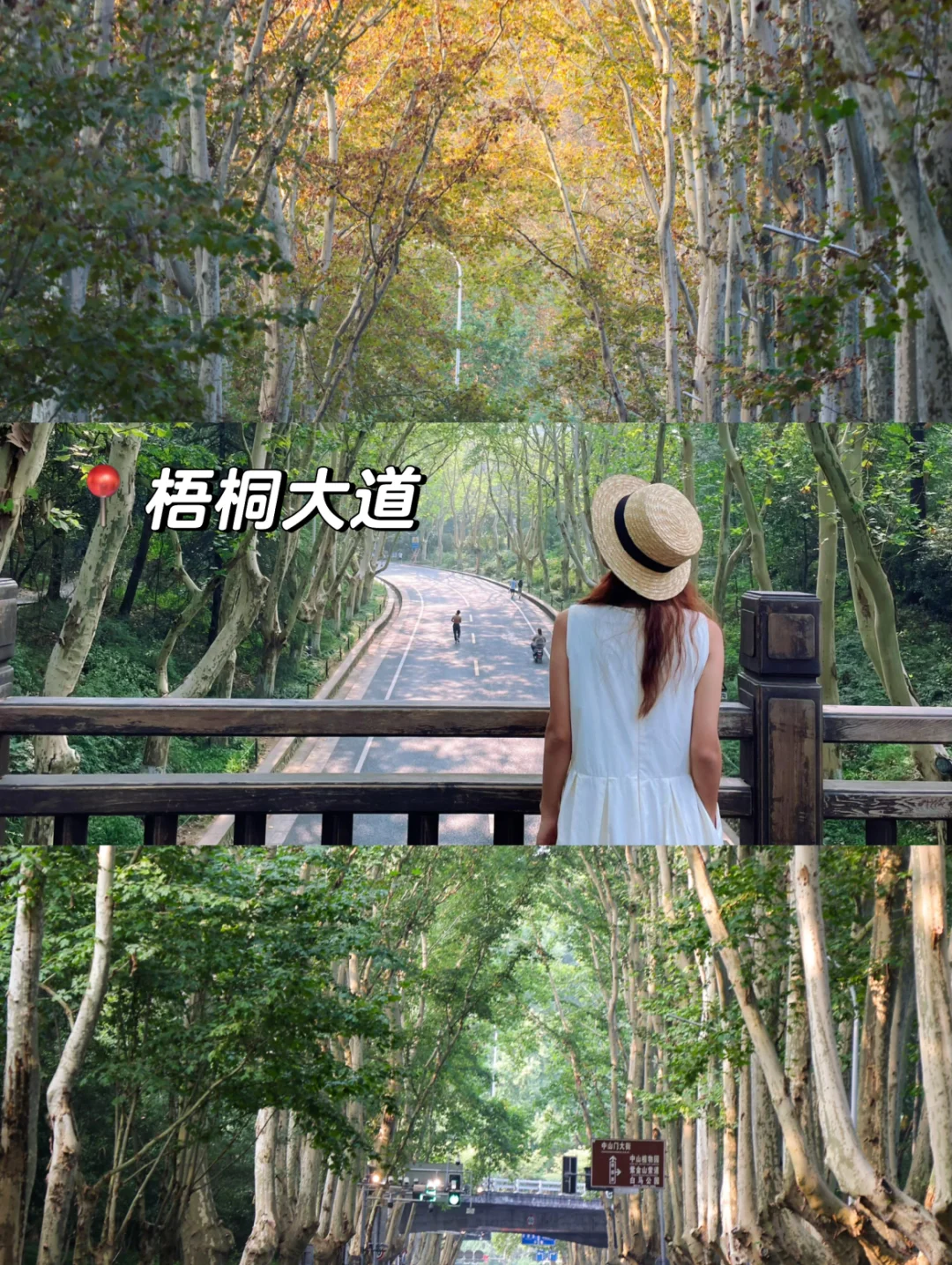 本地人整理！两天一夜南京旅游攻略！！