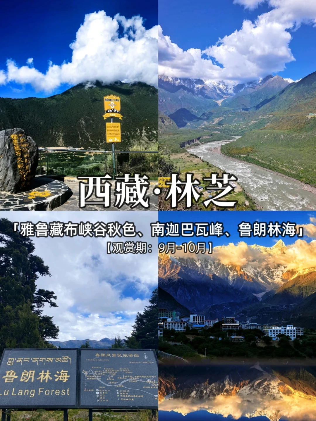 2025，国内秋季旅游胜地推荐，看这里❗️
