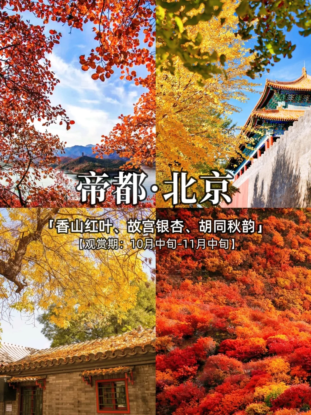 2025，国内秋季旅游胜地推荐，看这里❗️