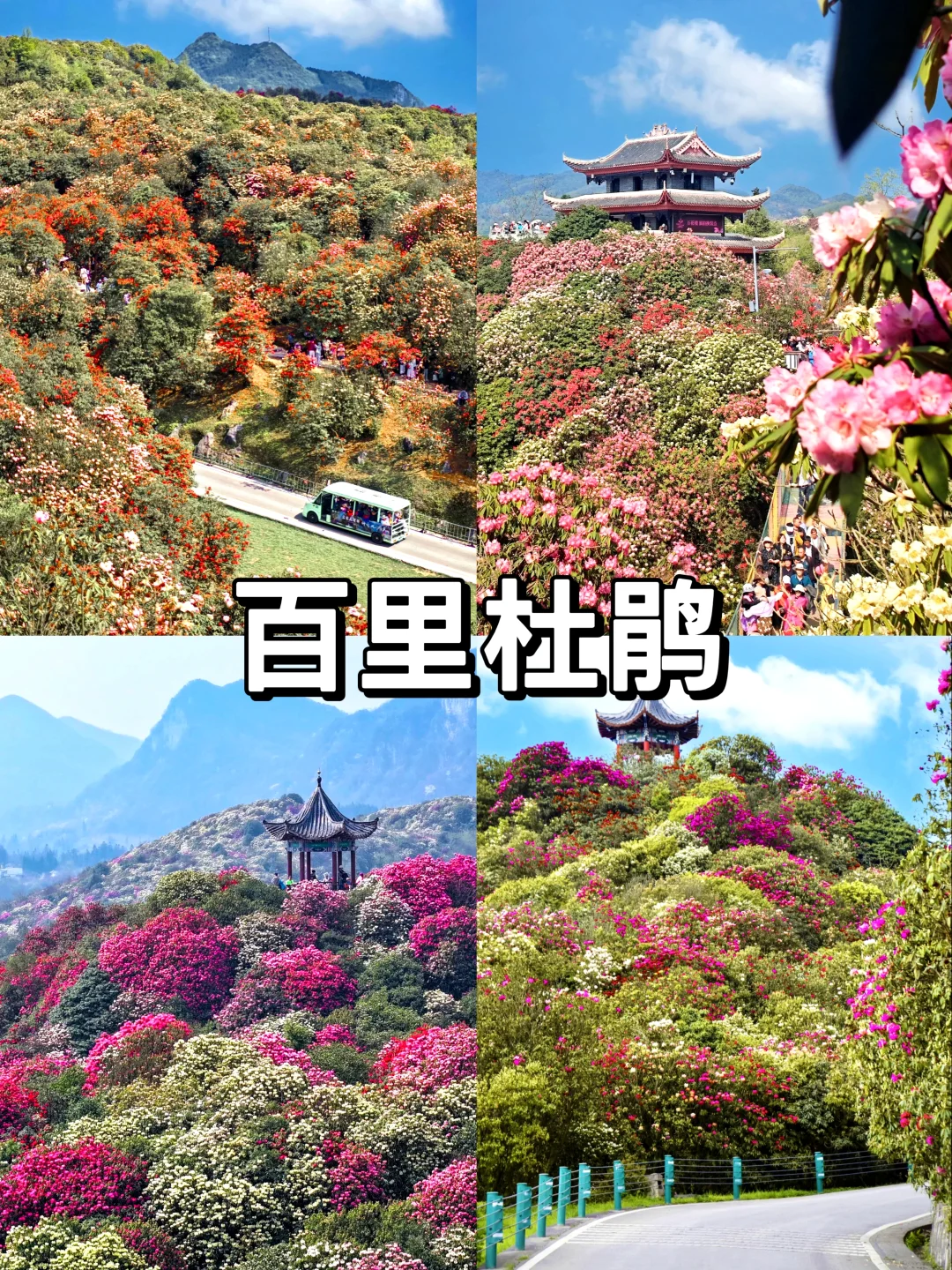 贵州四天三夜，不绕路不废腿！