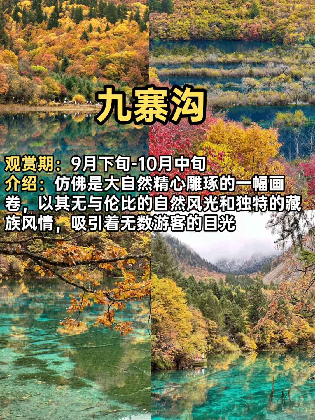 2025赏秋小众宝藏地合集！迎接国内最美秋天