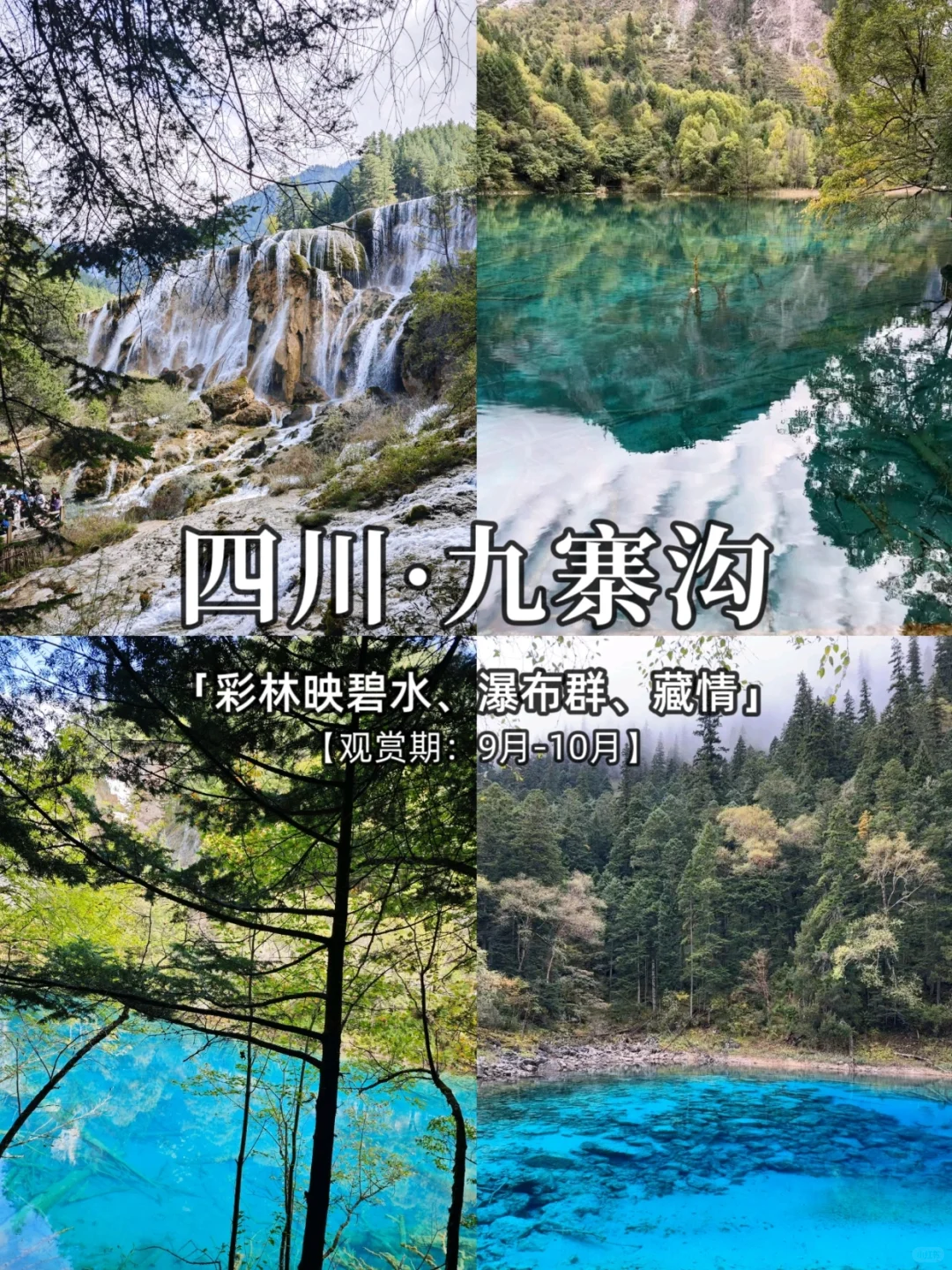 2025，国内秋季旅游胜地推荐，看这里❗️