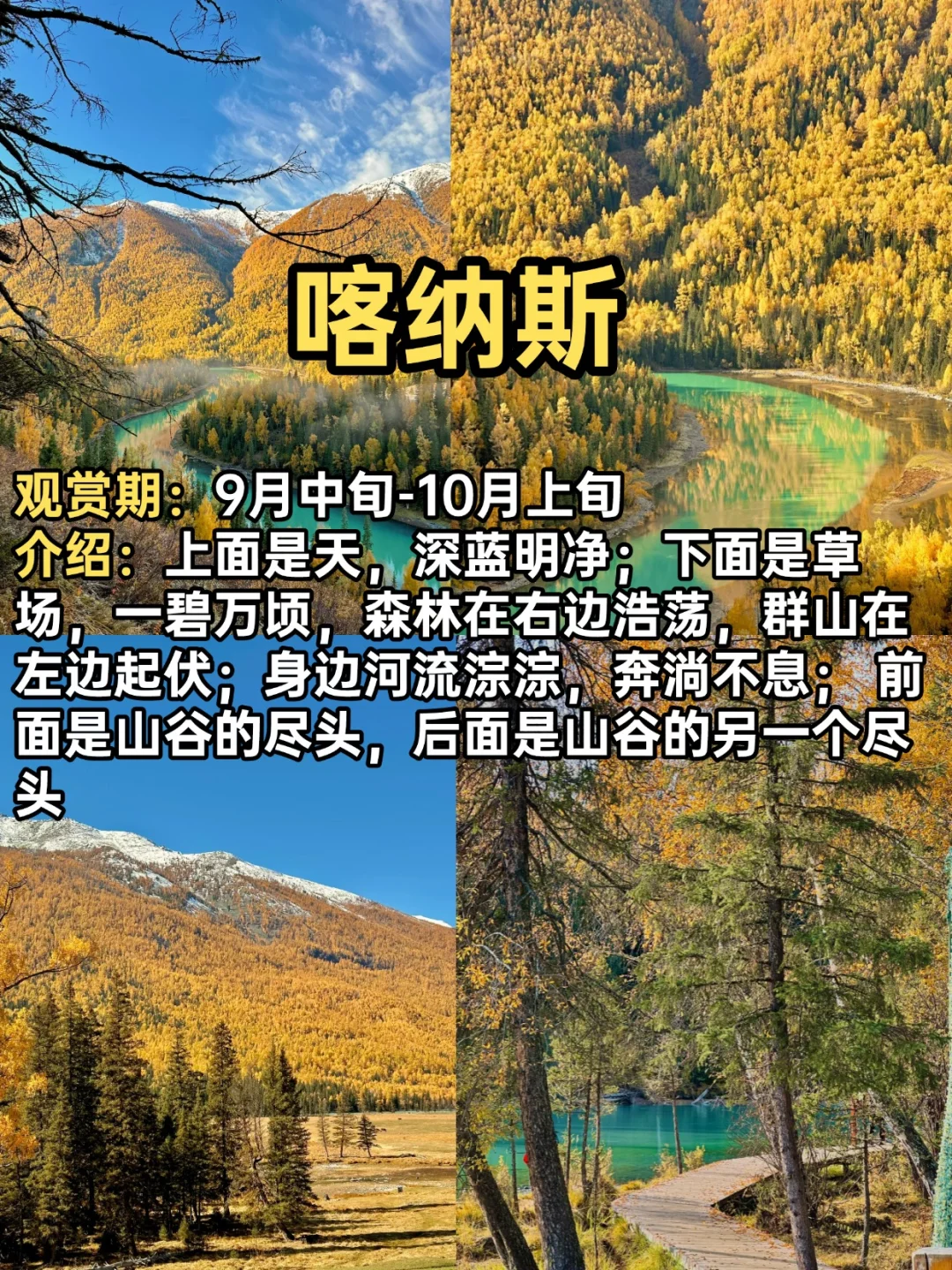 2025赏秋小众宝藏地合集！迎接国内最美秋天