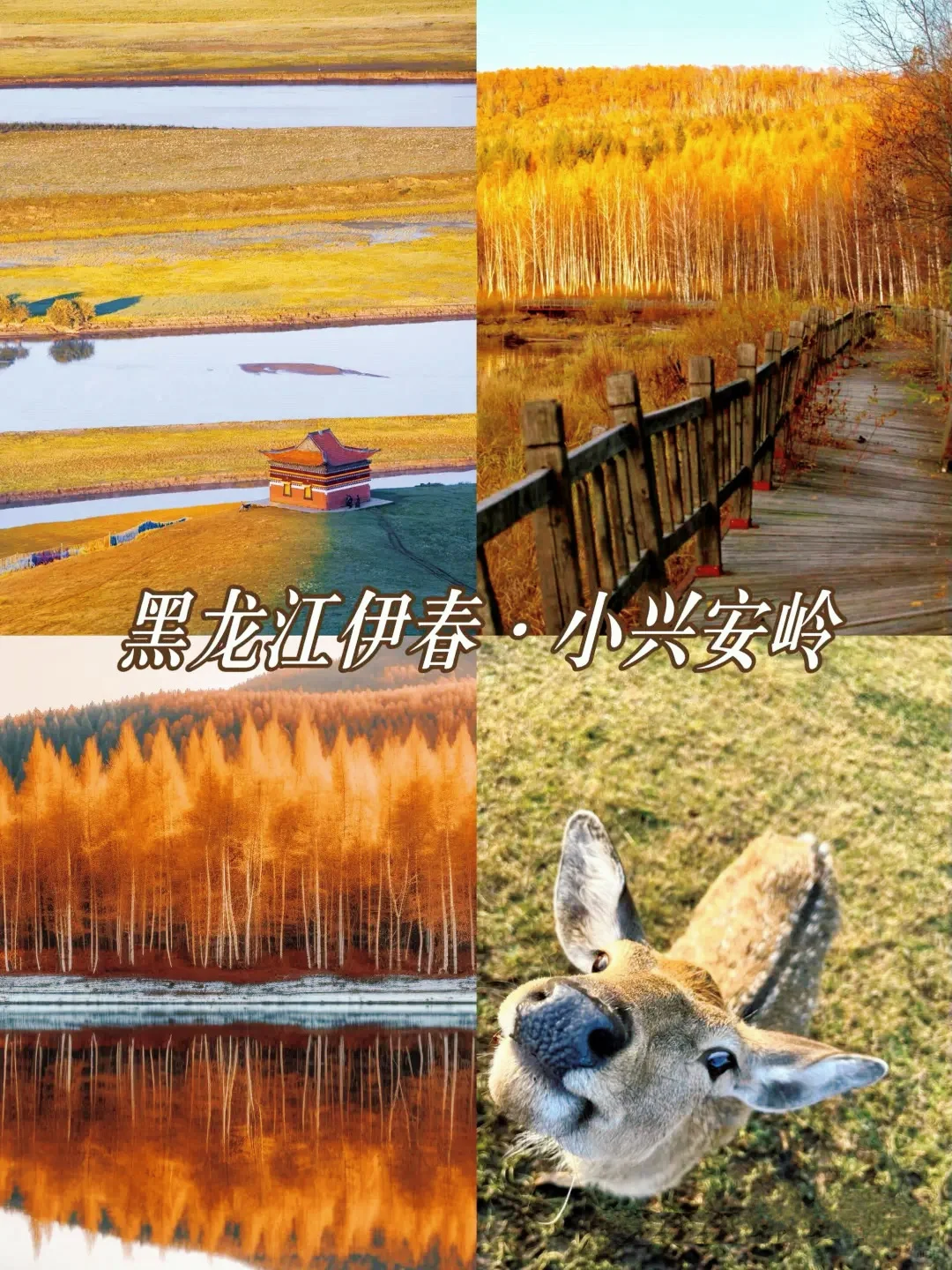 十一反向旅游目的地，主打一个冷冷冷门！