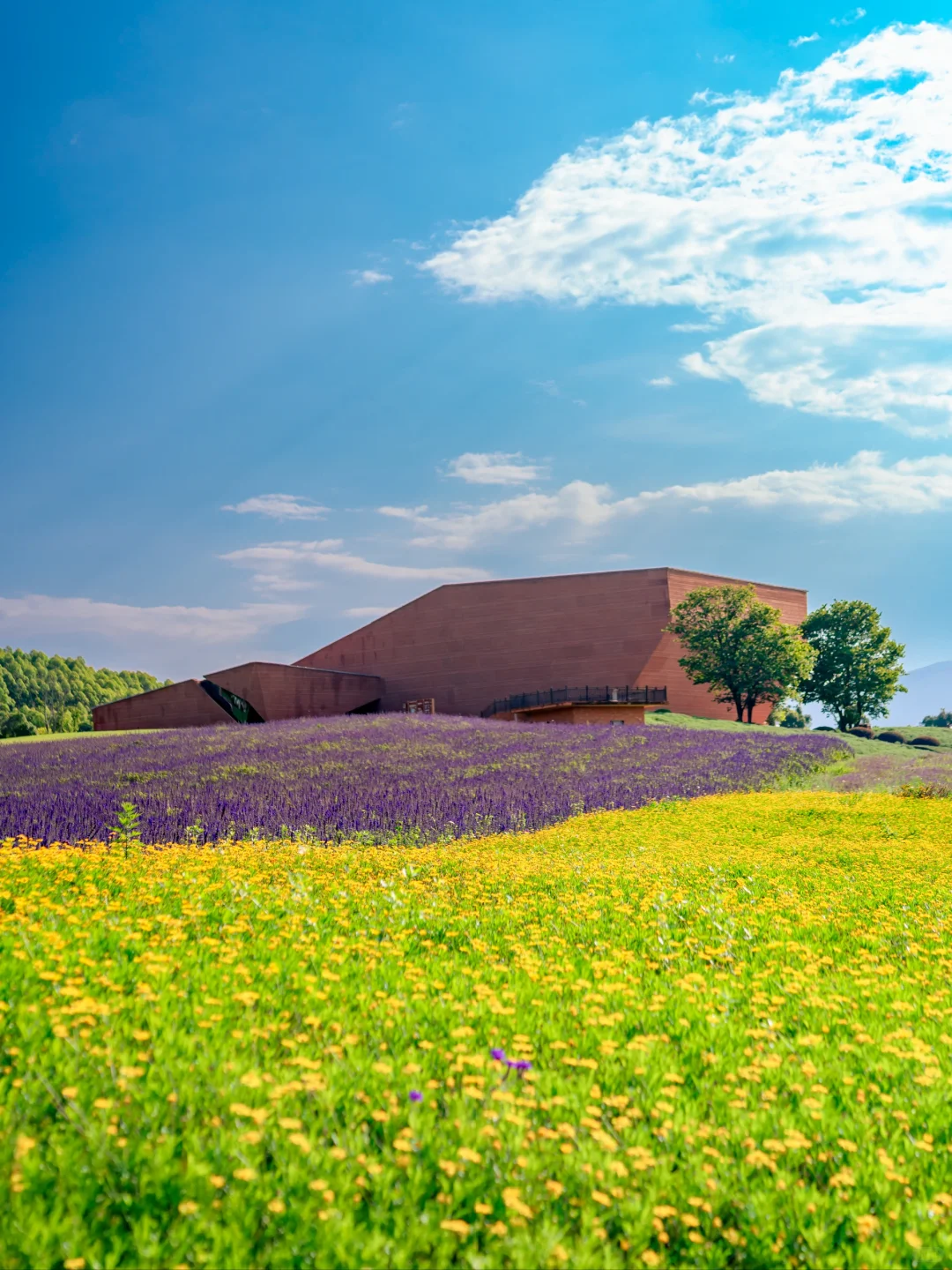 云南这座艺术小城，堪称亲子自然大课堂！