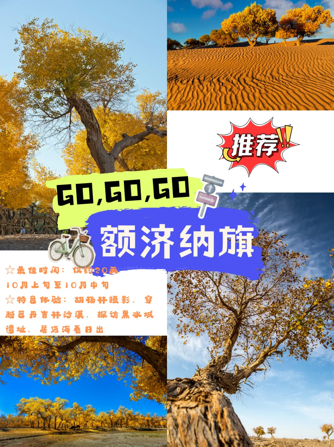 2025国内赏秋胜地 | 每个都是封神级秋天
