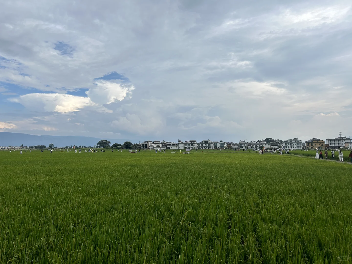 云南七天六晚旅行攻略✈️自由行