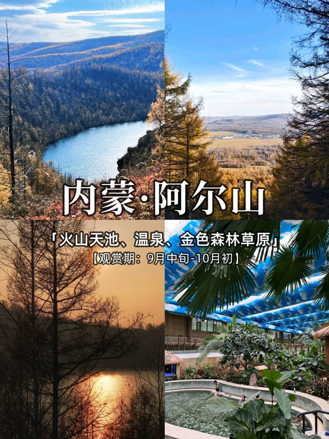 2025，国内秋季旅游胜地推荐，看这里❗️