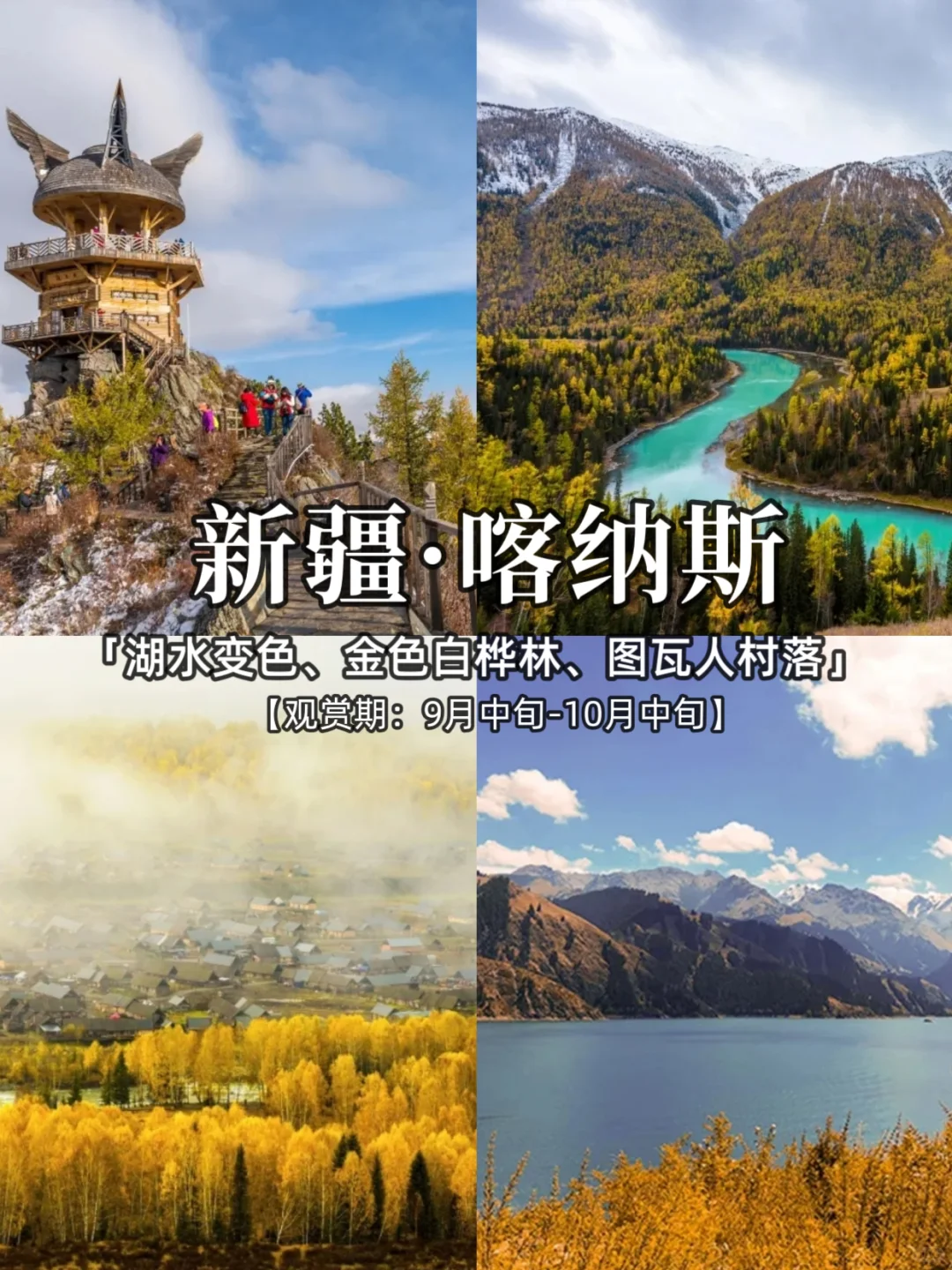 2025，国内秋季旅游胜地推荐，看这里❗️