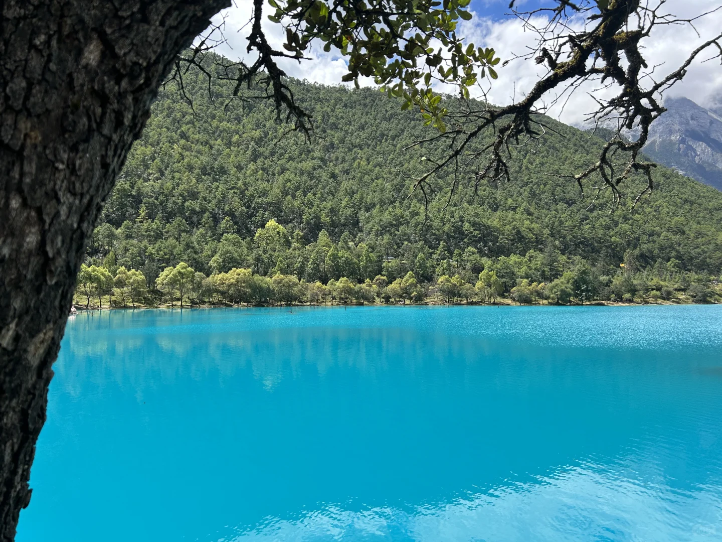 云南七天六晚旅行攻略✈️自由行