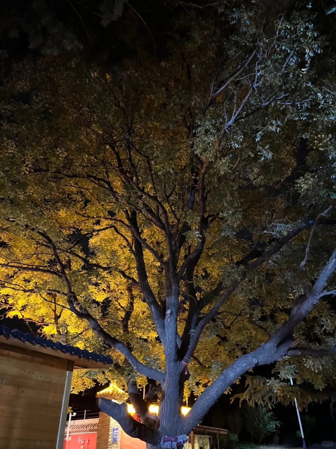响堂山夜游攻略｜本地人玩法大公开