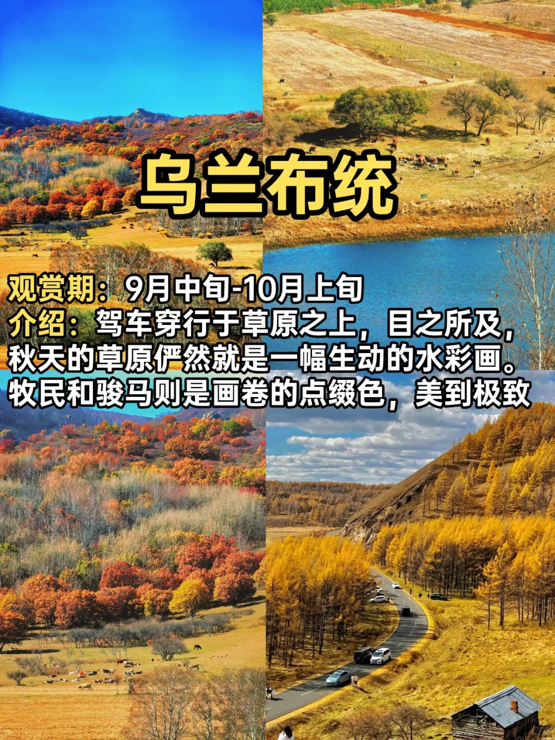 2025赏秋小众宝藏地合集！迎接国内最美秋天
