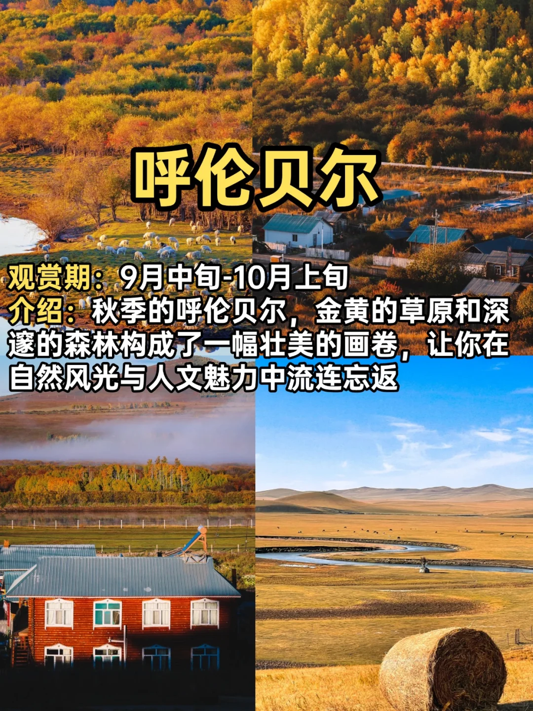 2025赏秋小众宝藏地合集！迎接国内最美秋天