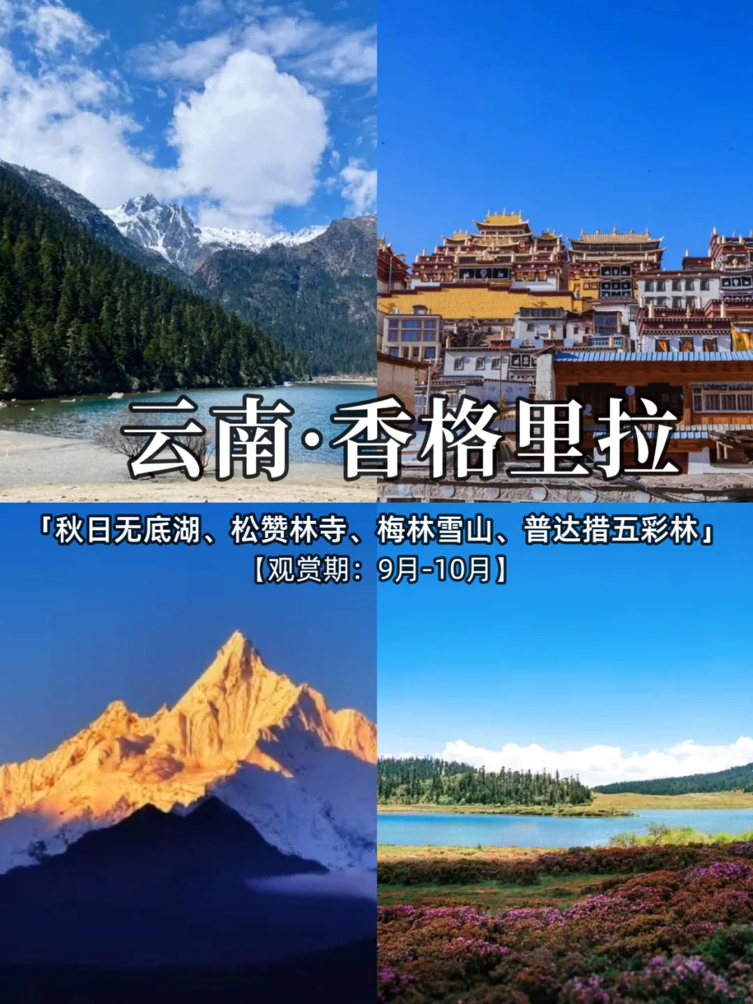 2025，国内秋季旅游胜地推荐，看这里❗️