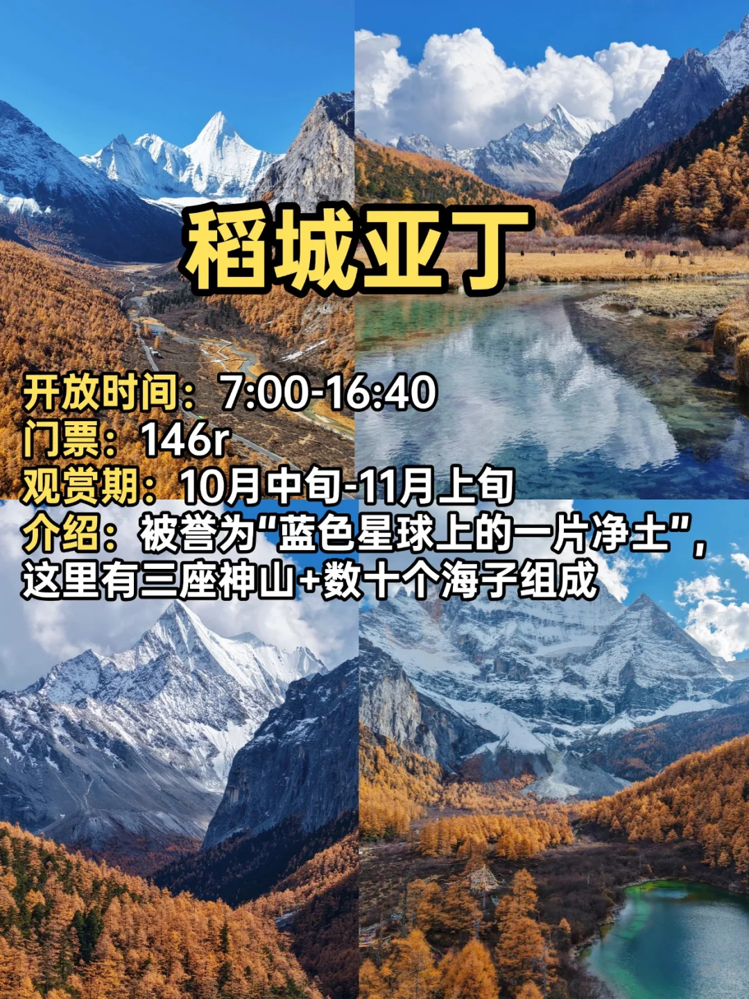 2025赏秋小众宝藏地合集！迎接国内最美秋天