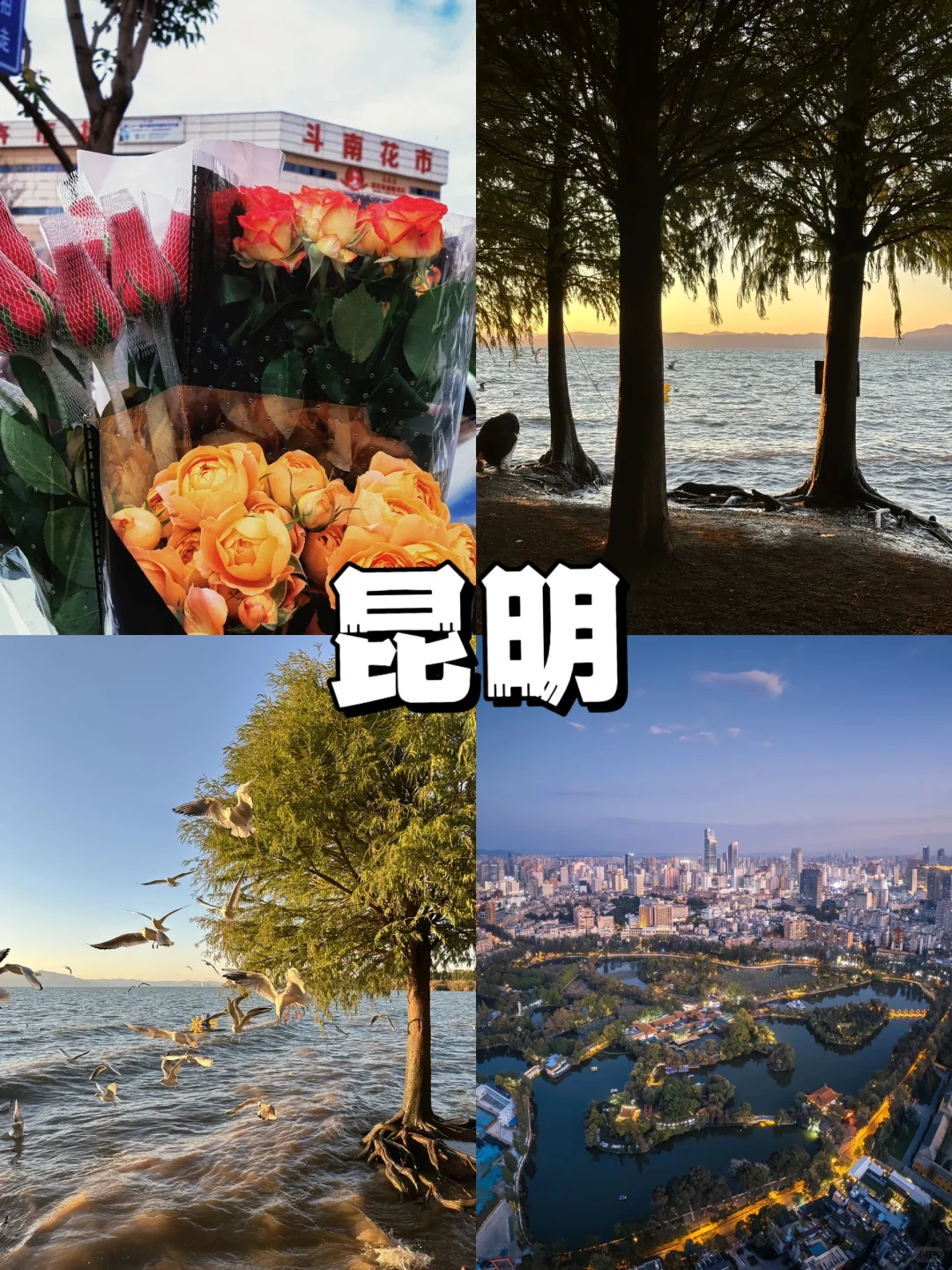 12-2月旅游｜推荐12个温暖旅行地☀