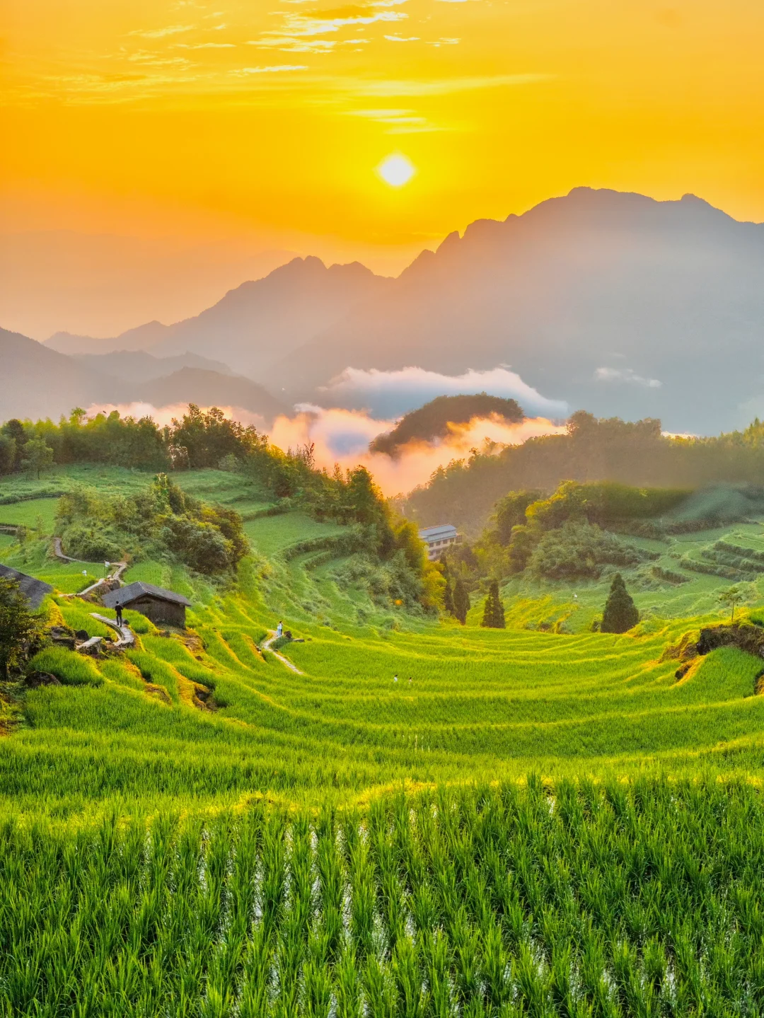 被《国家地理》评为“江南最后的秘境”太美了!