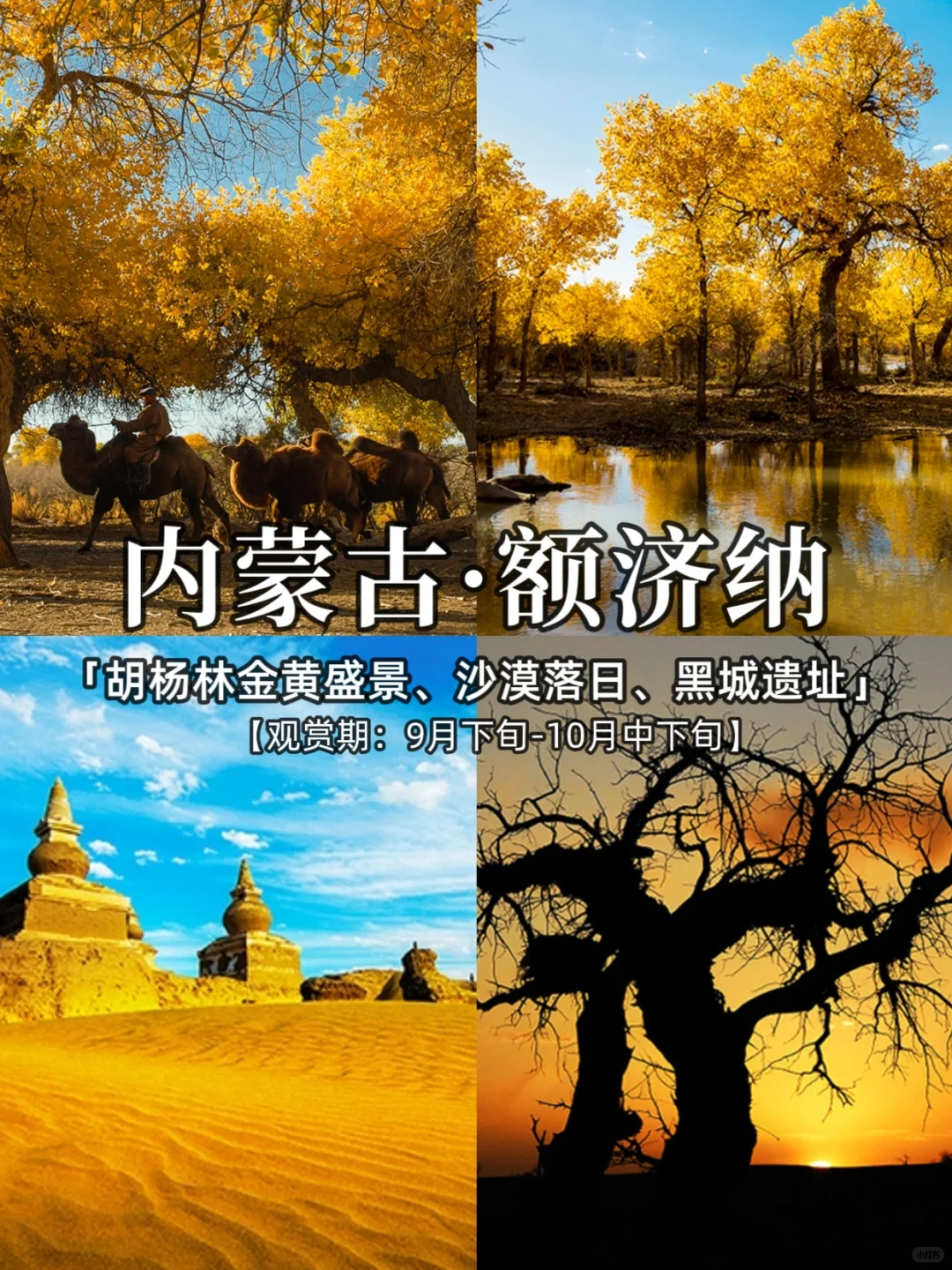 2025，国内秋季旅游胜地推荐，看这里❗️