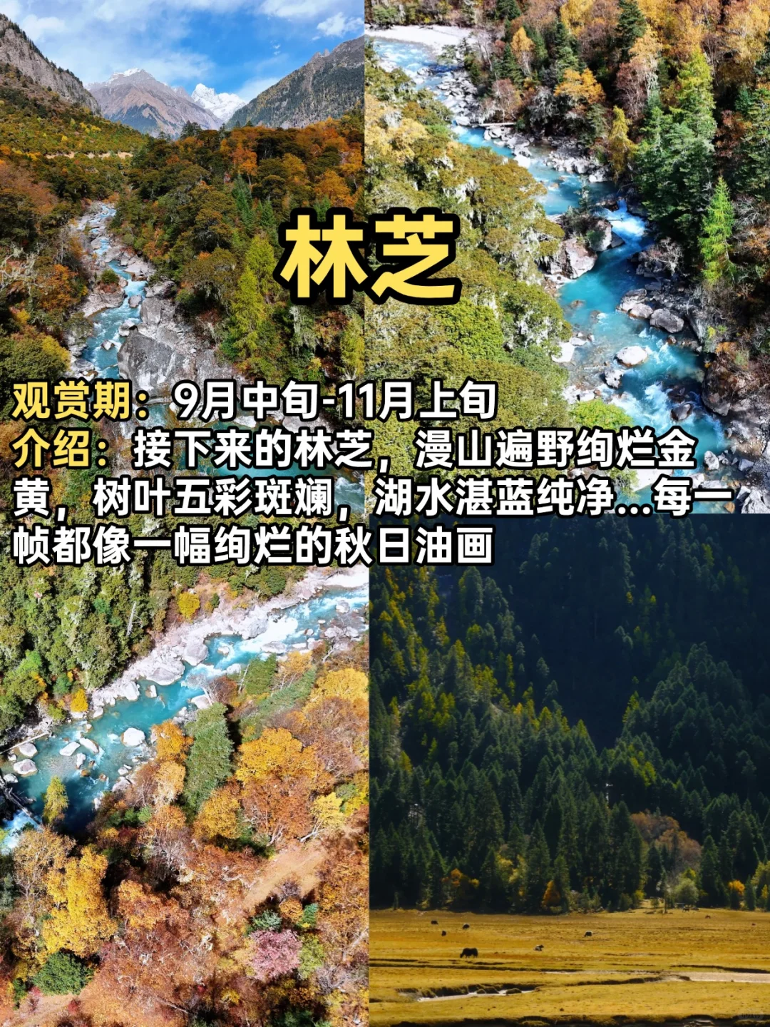 2025赏秋小众宝藏地合集！迎接国内最美秋天