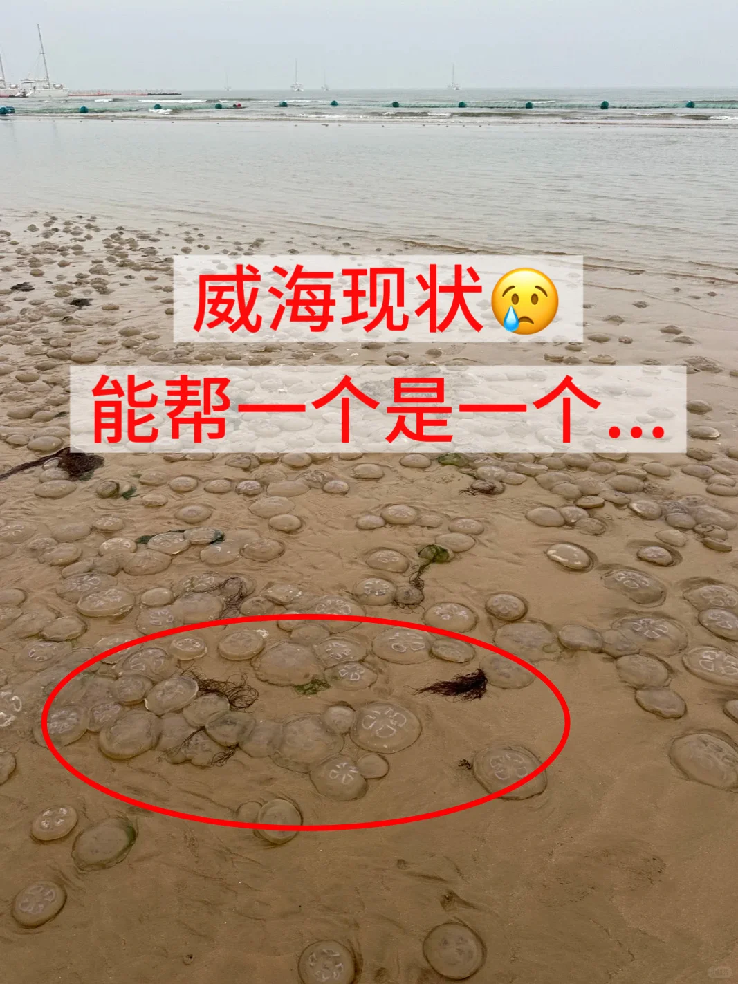 威海已回 直接无语了😓