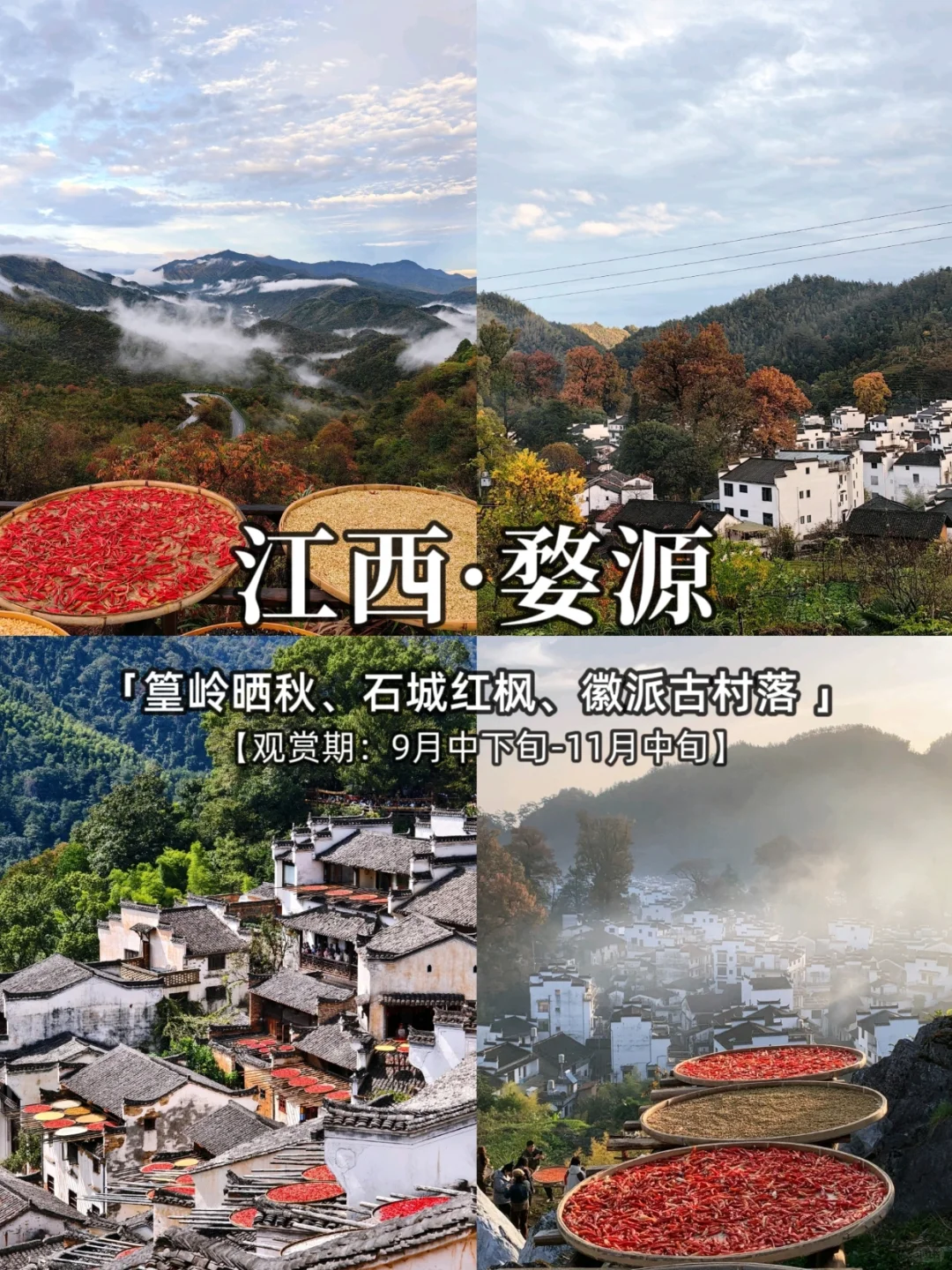 2025，国内秋季旅游胜地推荐，看这里❗️