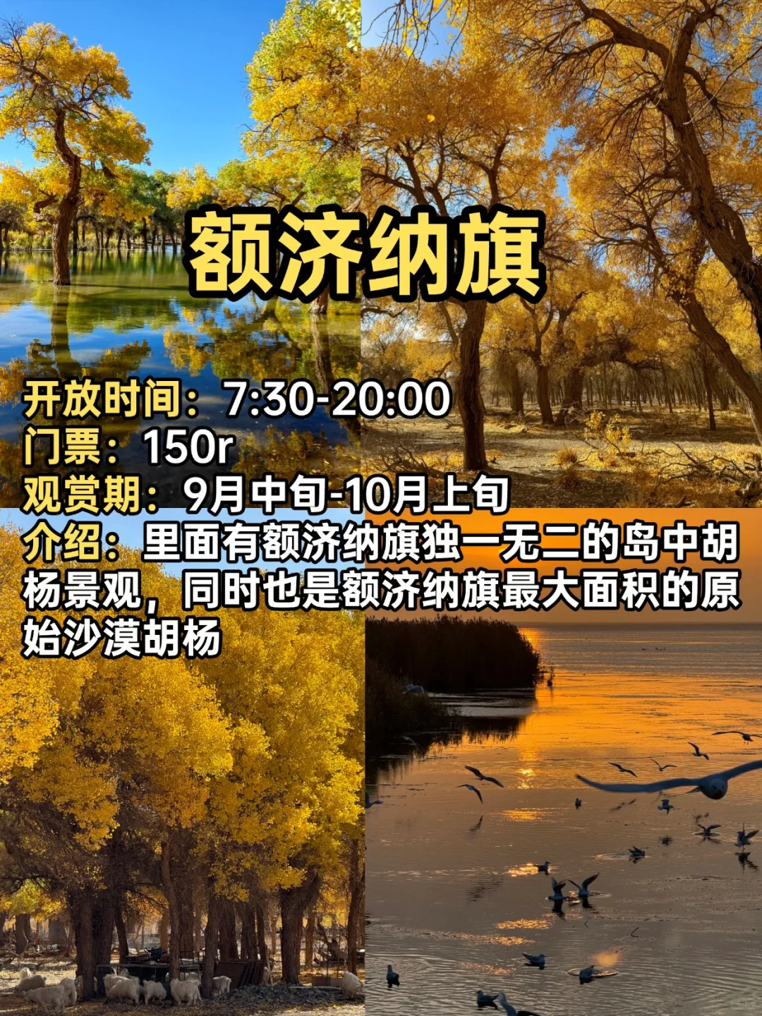 2025赏秋小众宝藏地合集！迎接国内最美秋天