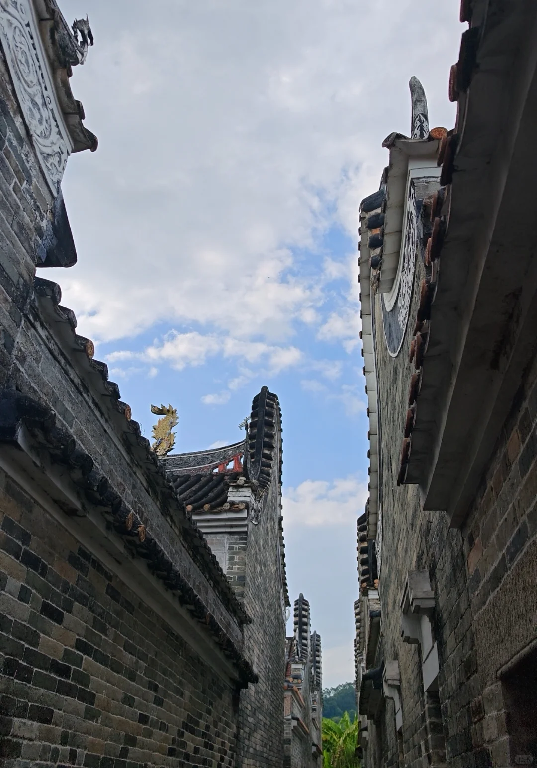 50岁｜没想到吧，今天做导游说走就走的旅行