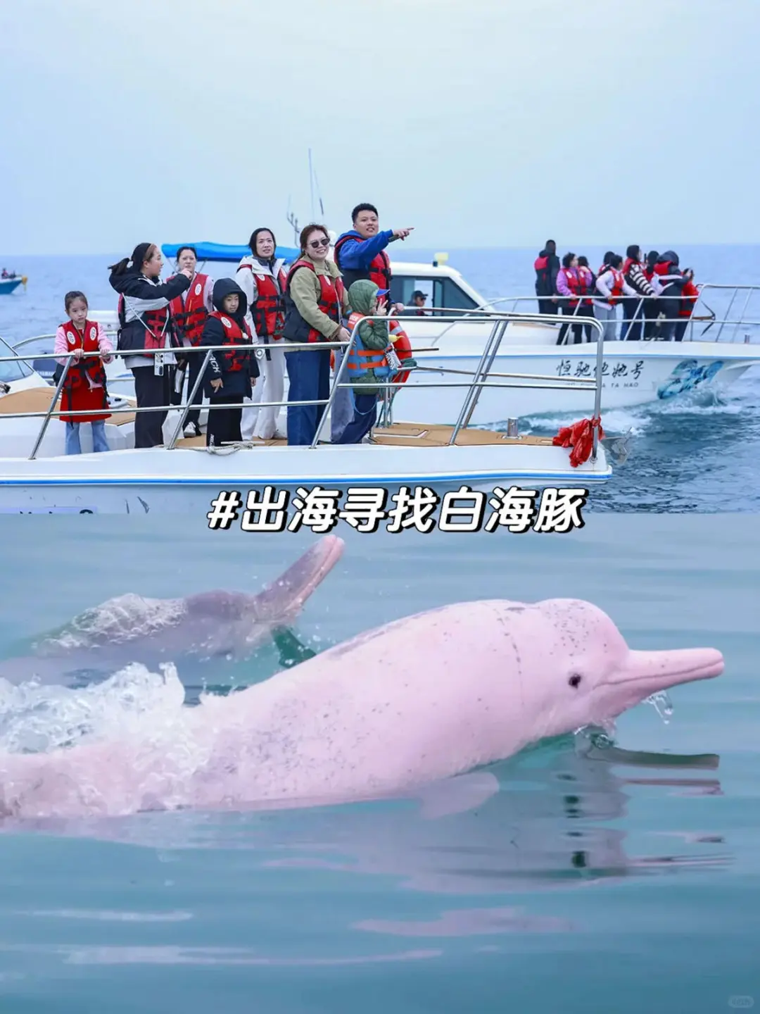 国庆去广西崇左，一点不累，比迪士尼还好玩