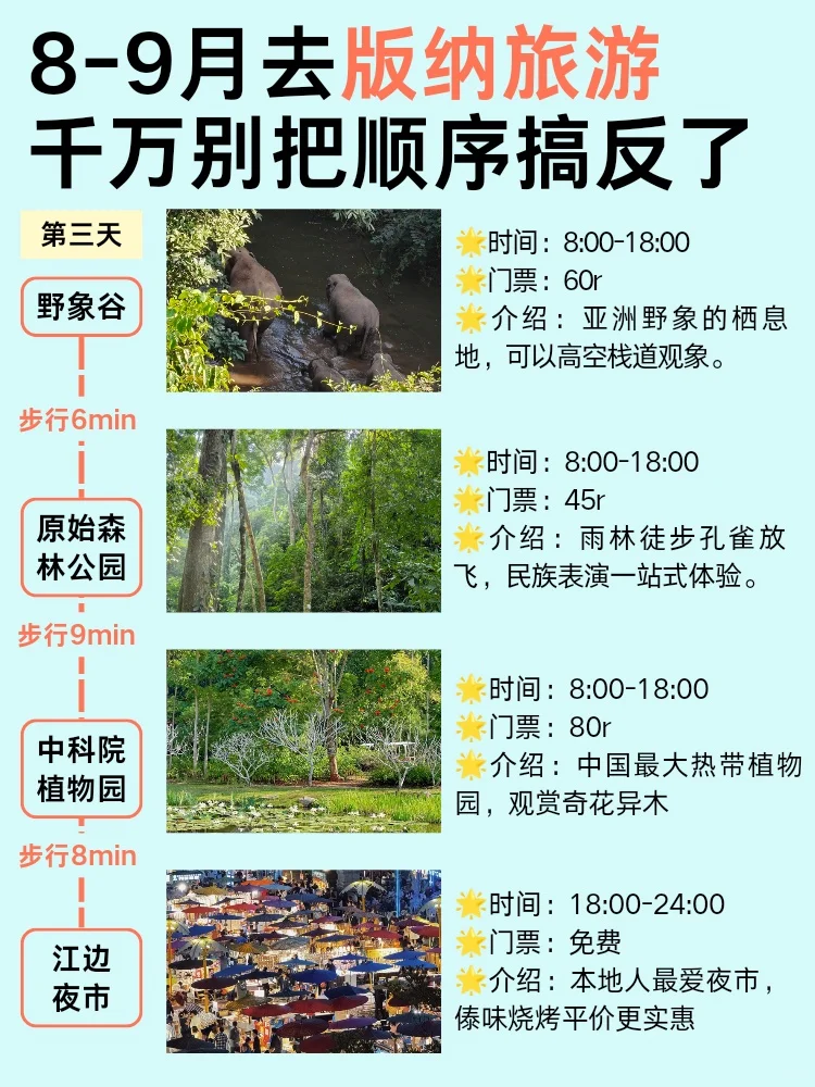 甲炉版纳旅游攻略之行前篇！