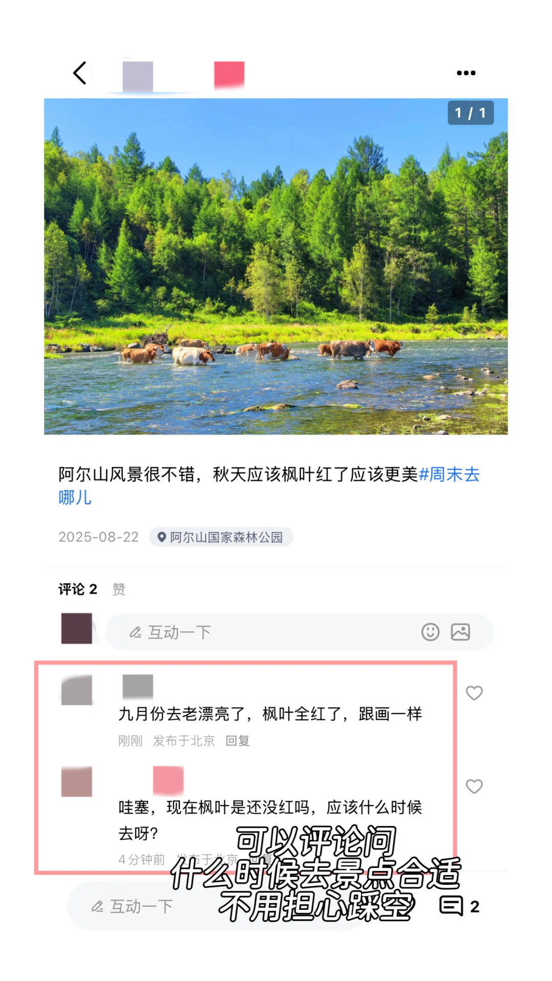 中国最美秋色，旅行时间表，我帮你做好了