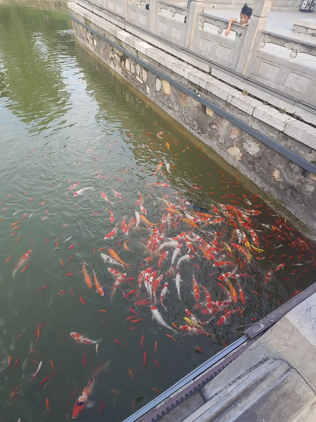 ✨河北大名县旅游攻略✨ | 被低估的历史古