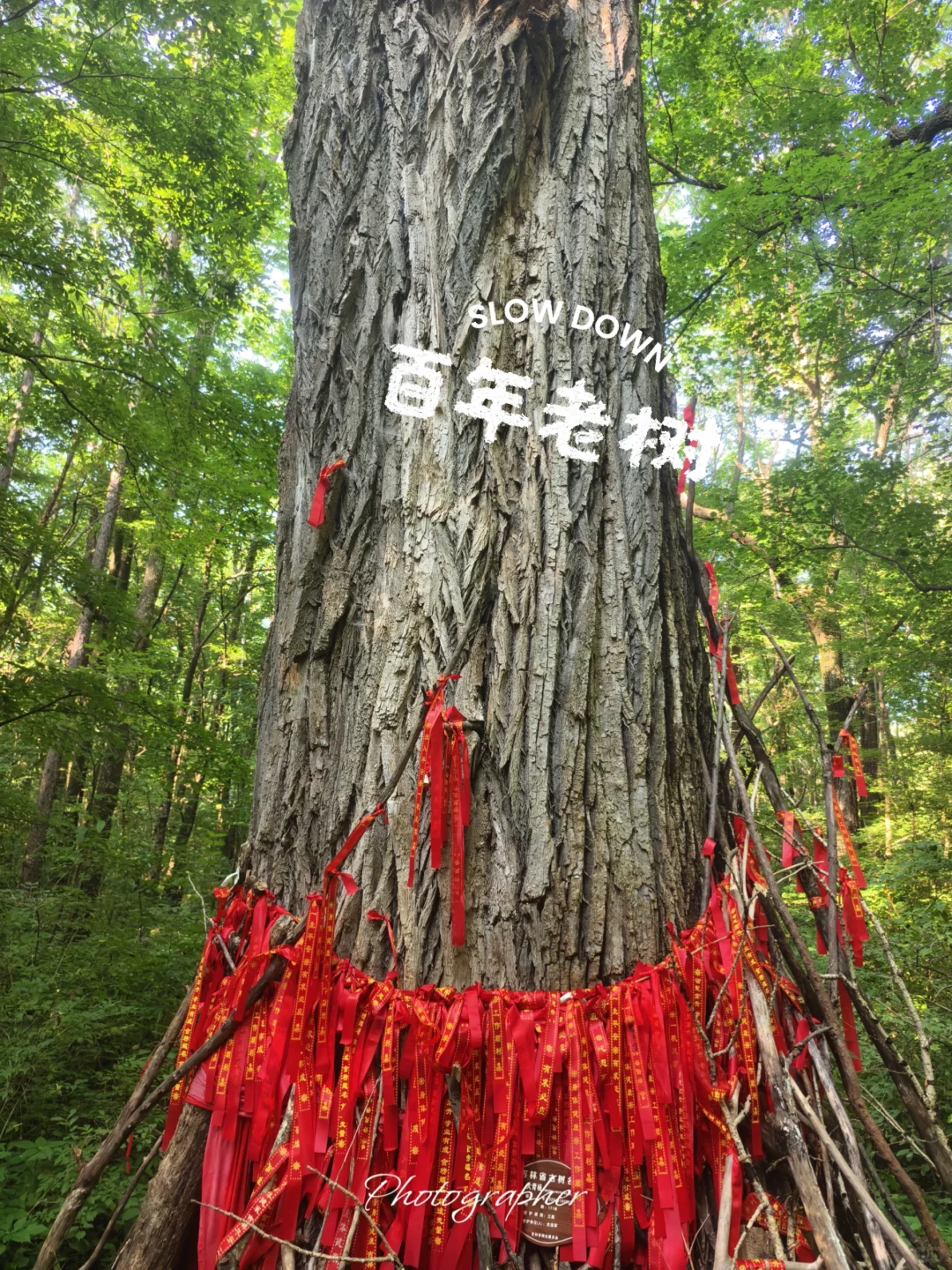 🌟【被低估的“东北小九寨”三角龙湾】