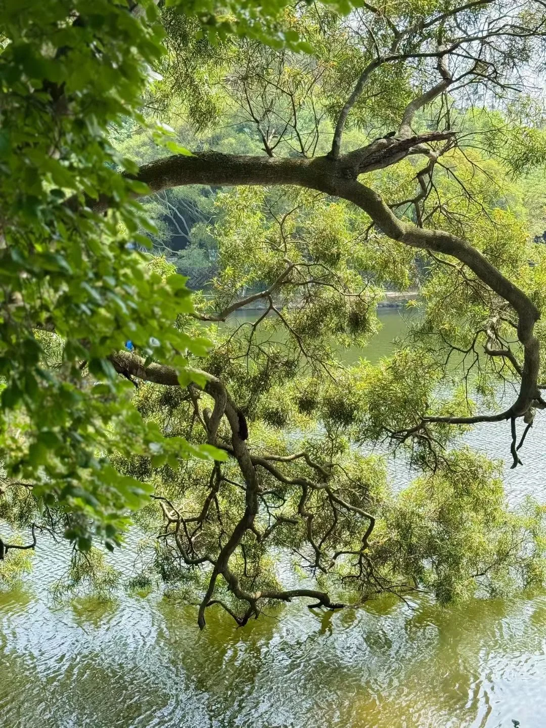 看图猜景点（一）